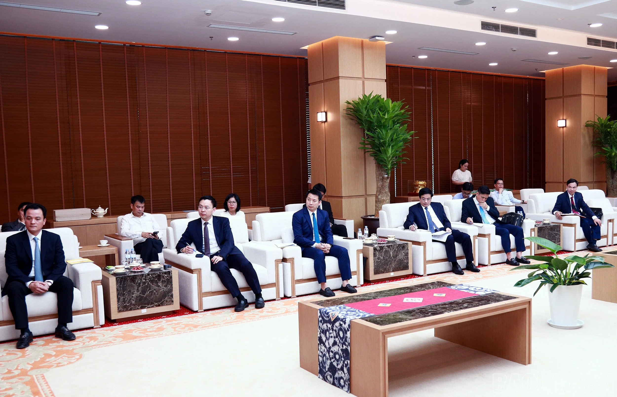 baolaocai-br_7j5a9672.jpg