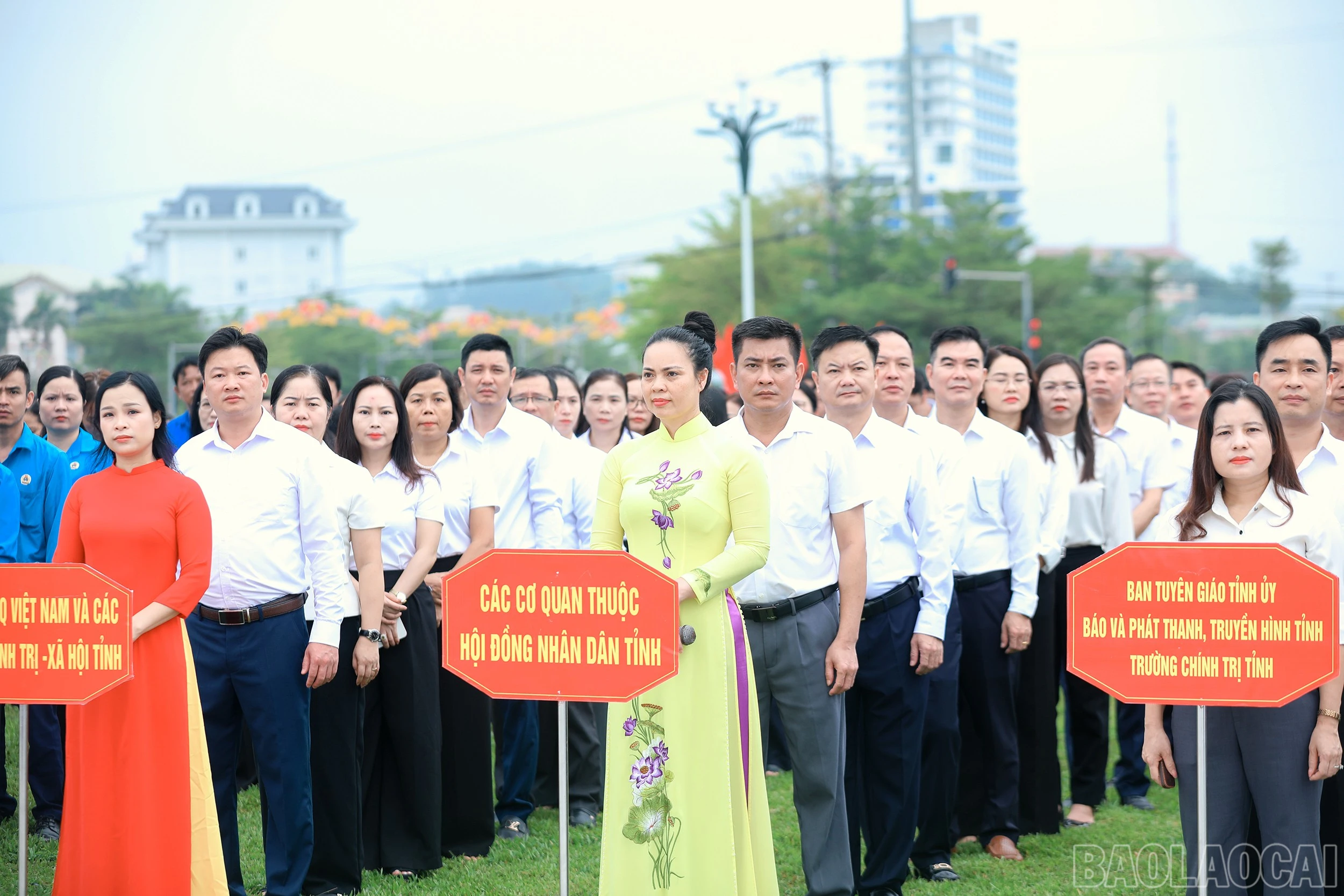 baolaocai-br_7j5a5068.jpg