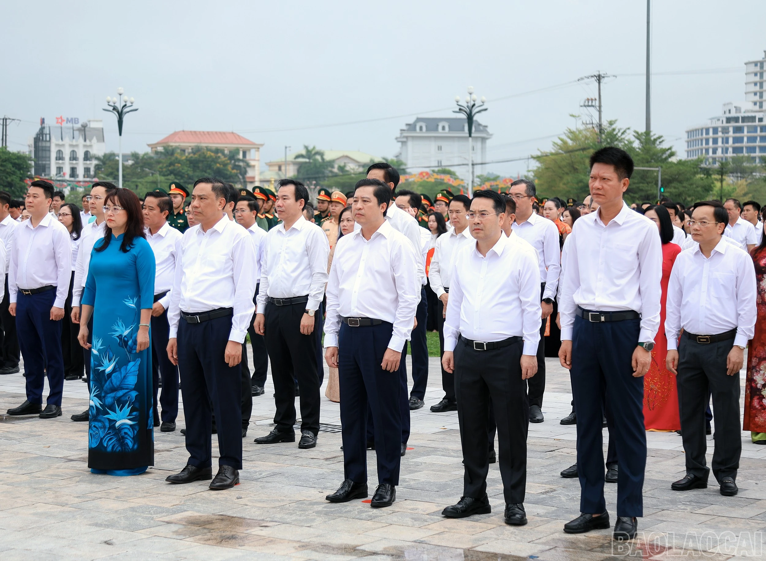 baolaocai-br_7j5a4972.jpg