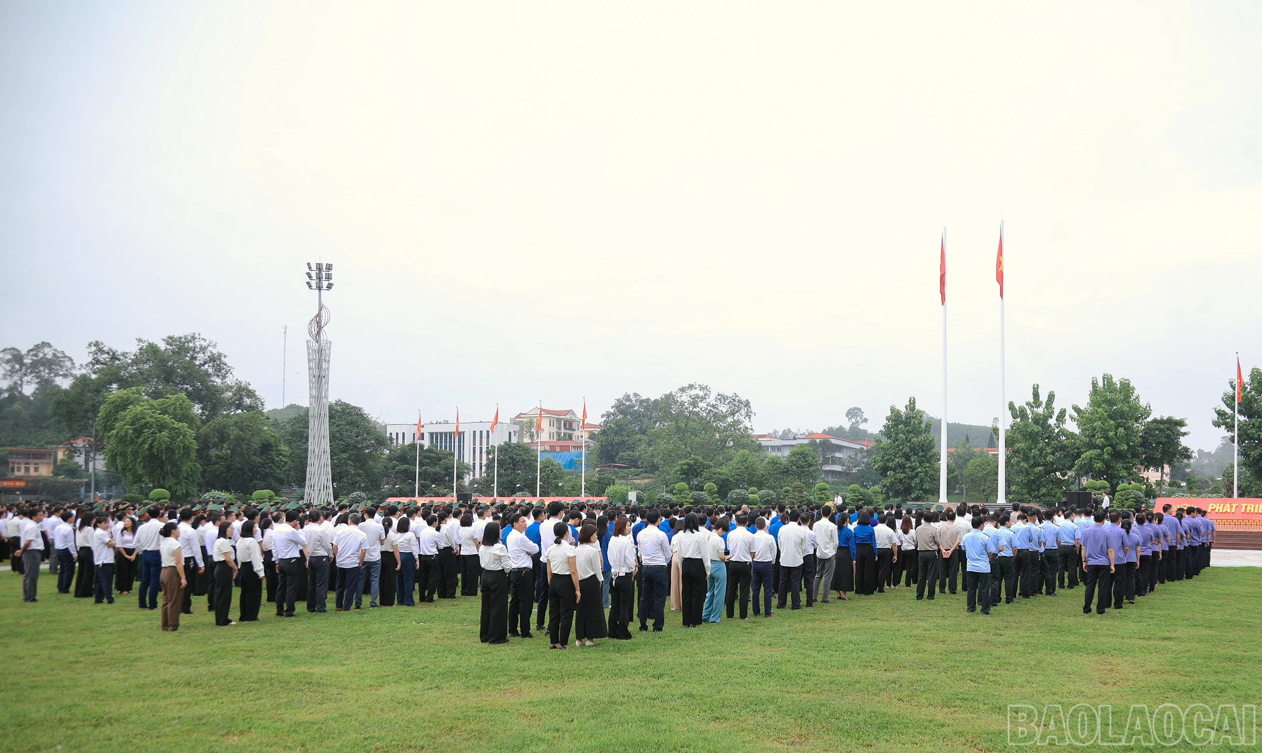 baolaocai-br_7j5a5040.jpg