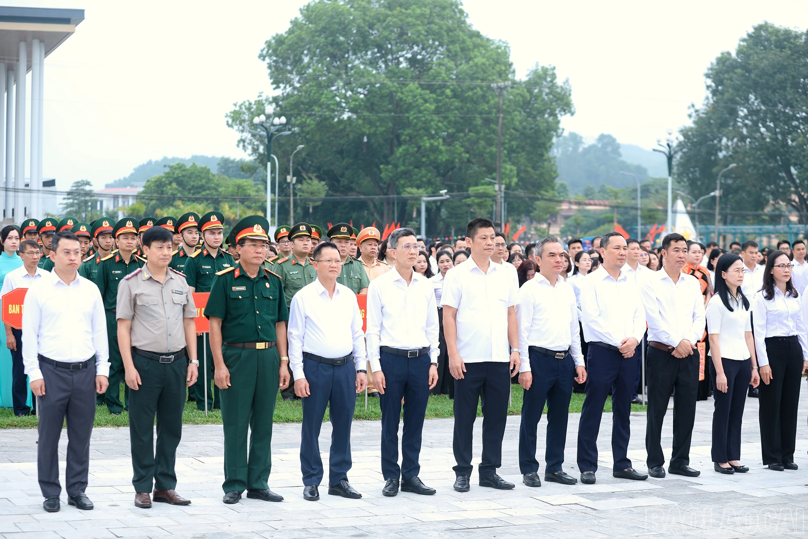 baolaocai-br_7j5a5057.jpg
