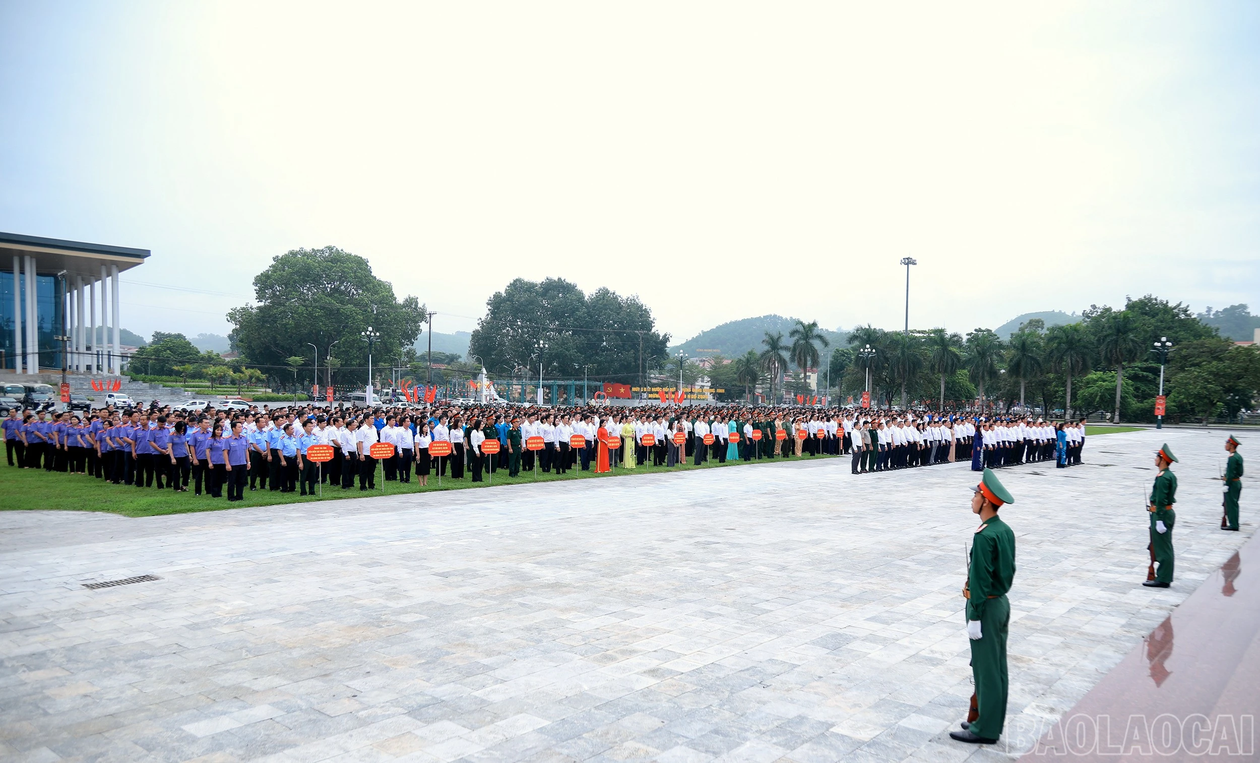 baolaocai-br_7j5a5029.jpg