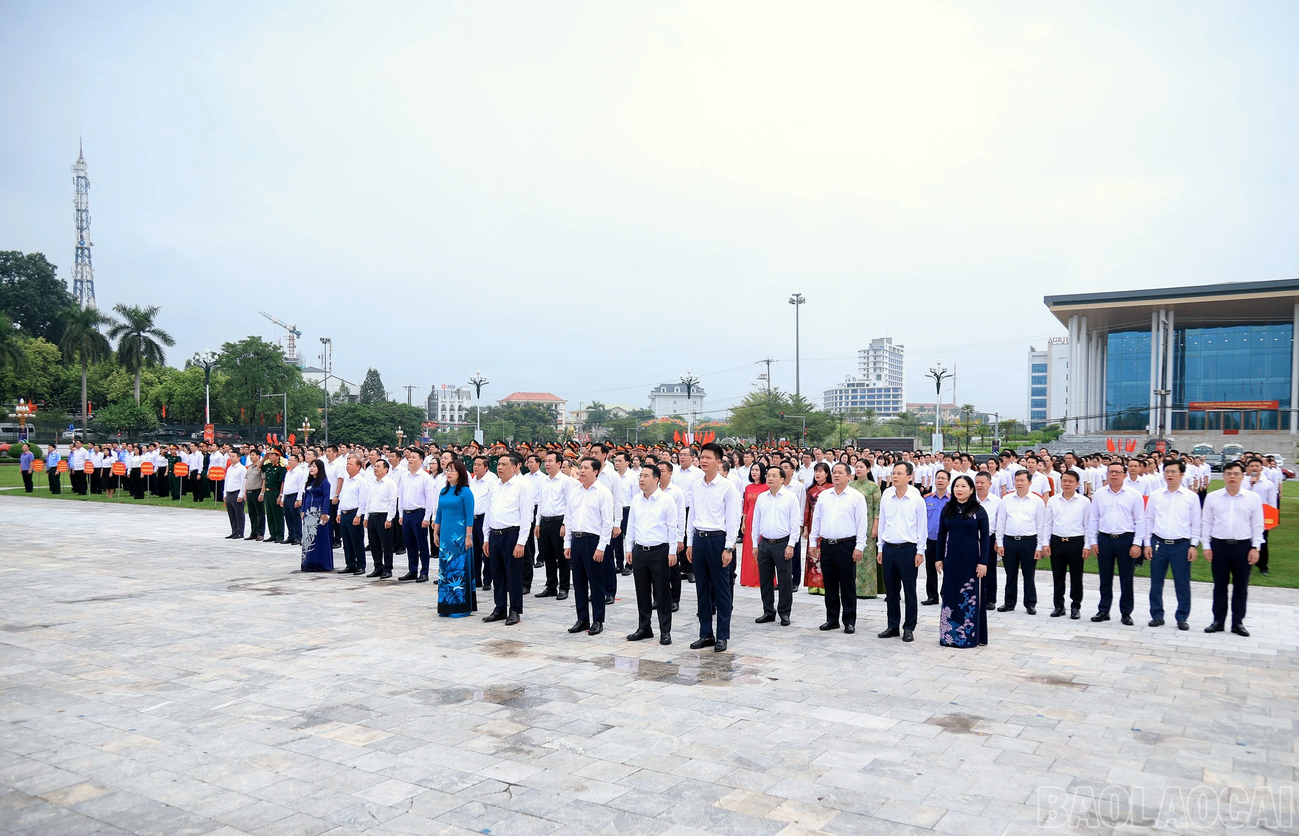baolaocai-br_7j5a4996.jpg