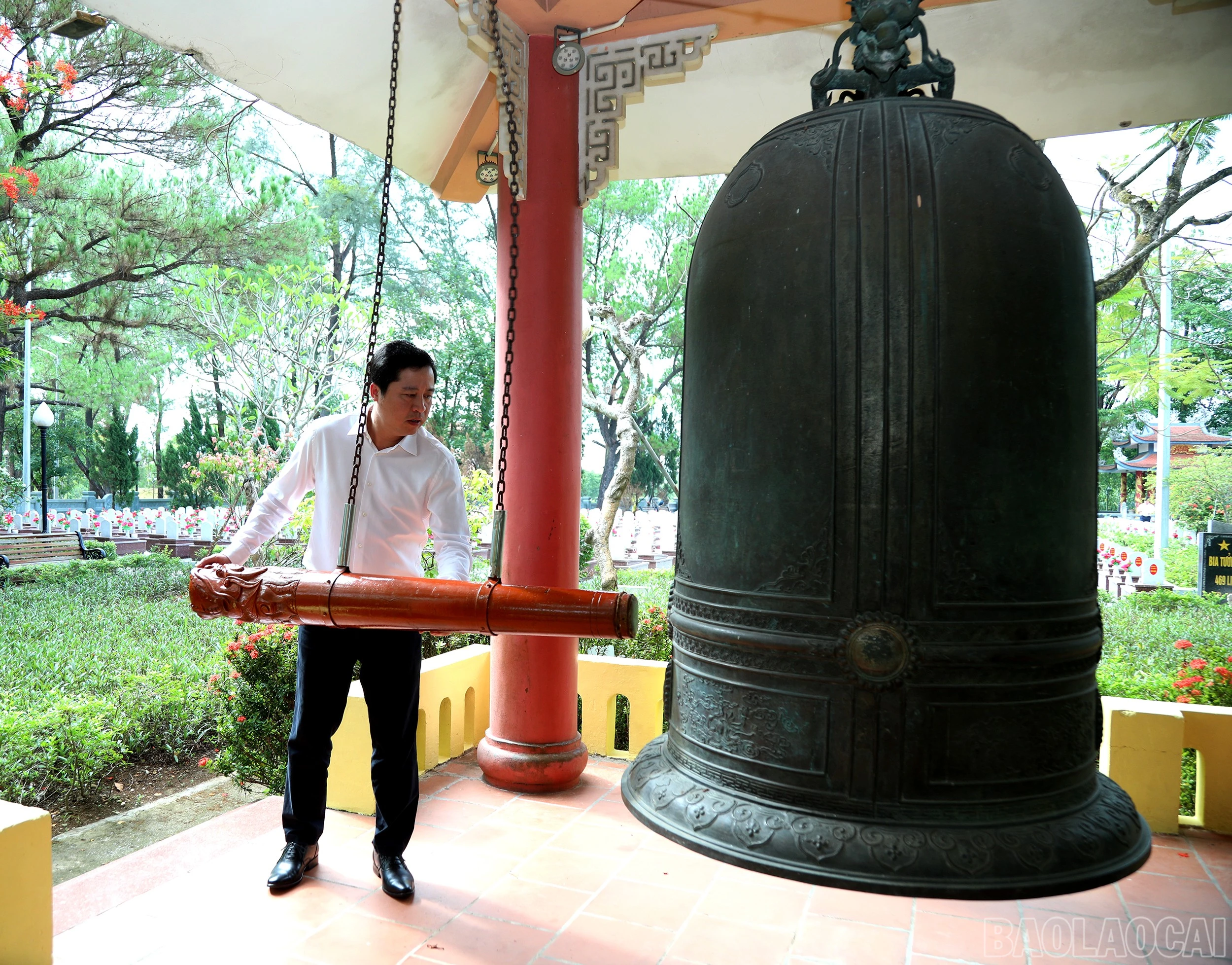 baolaocai-br_7j5a8698.jpg
