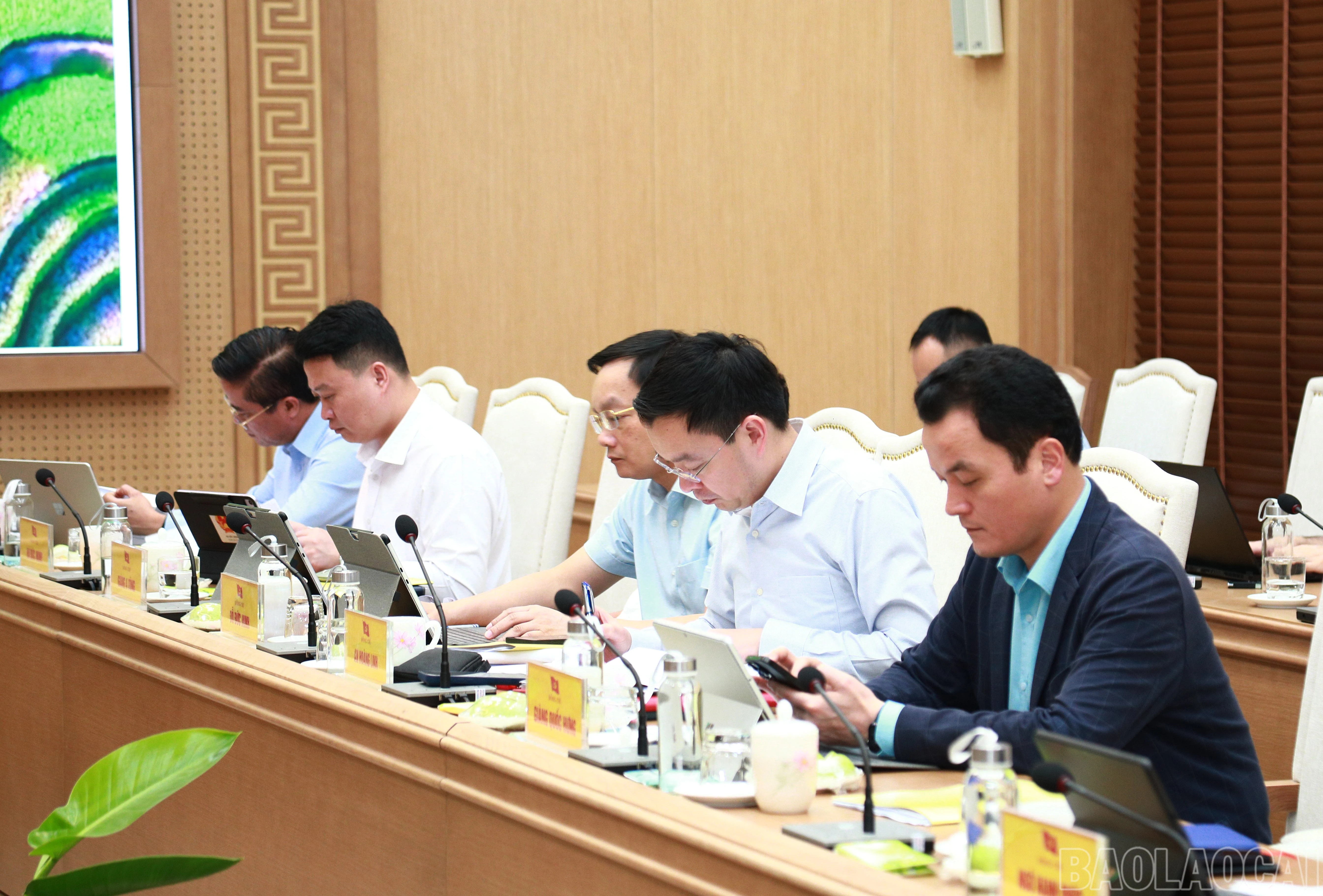 baolaocai-br_7j5a1015.jpg