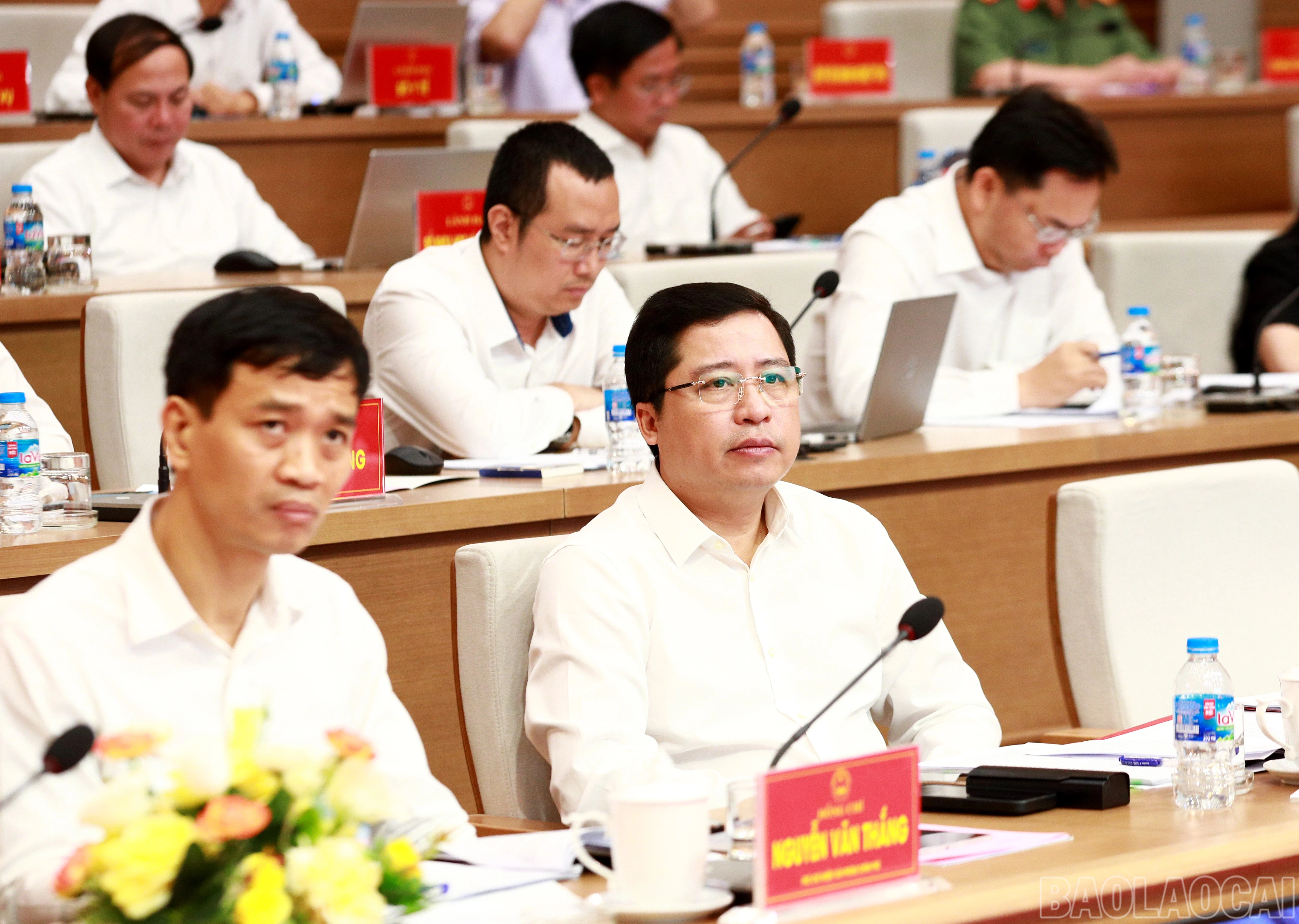 baolaocai-br_7j5a5547.jpg