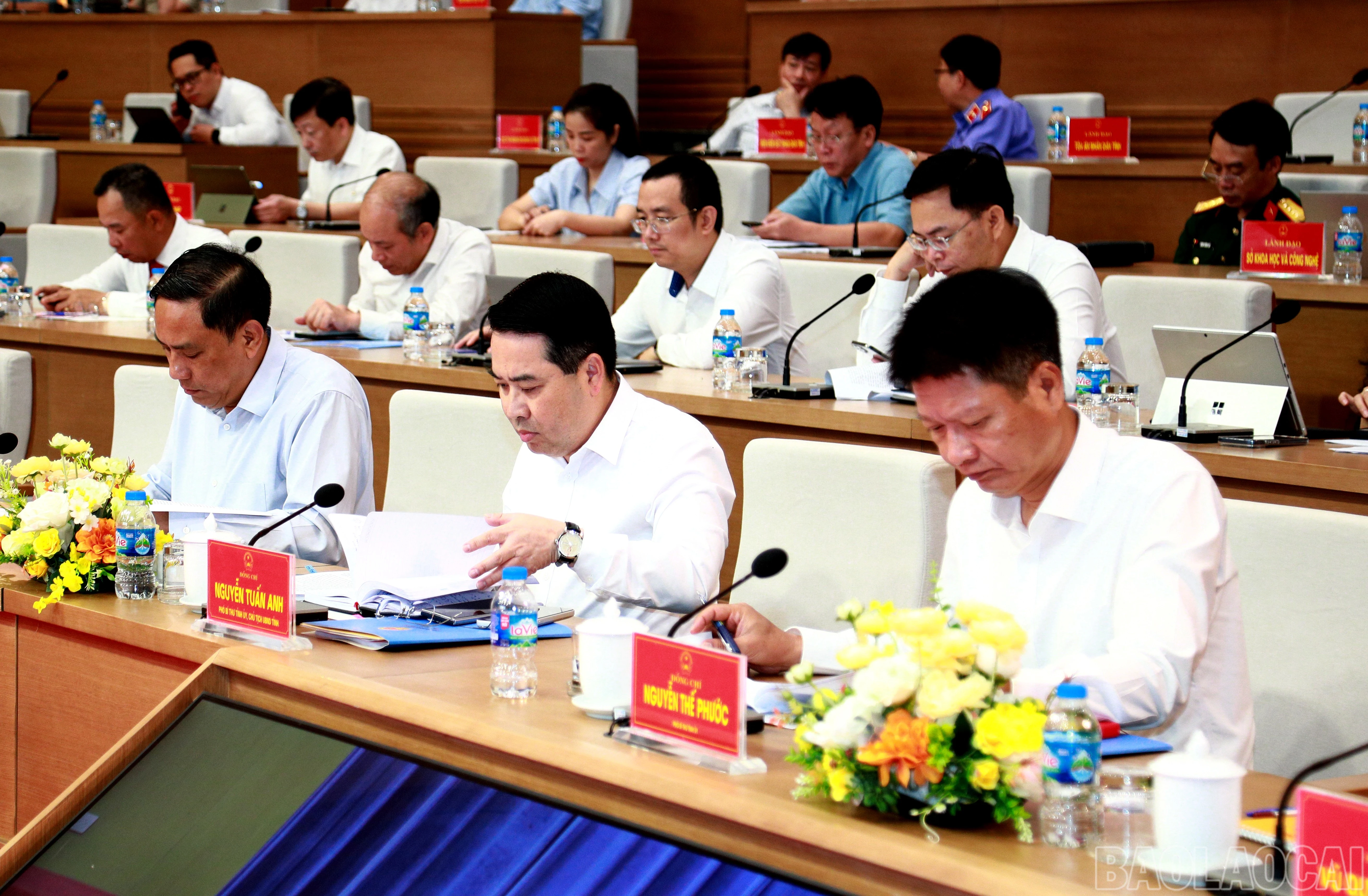 baolaocai-br_7j5a5430.jpg
