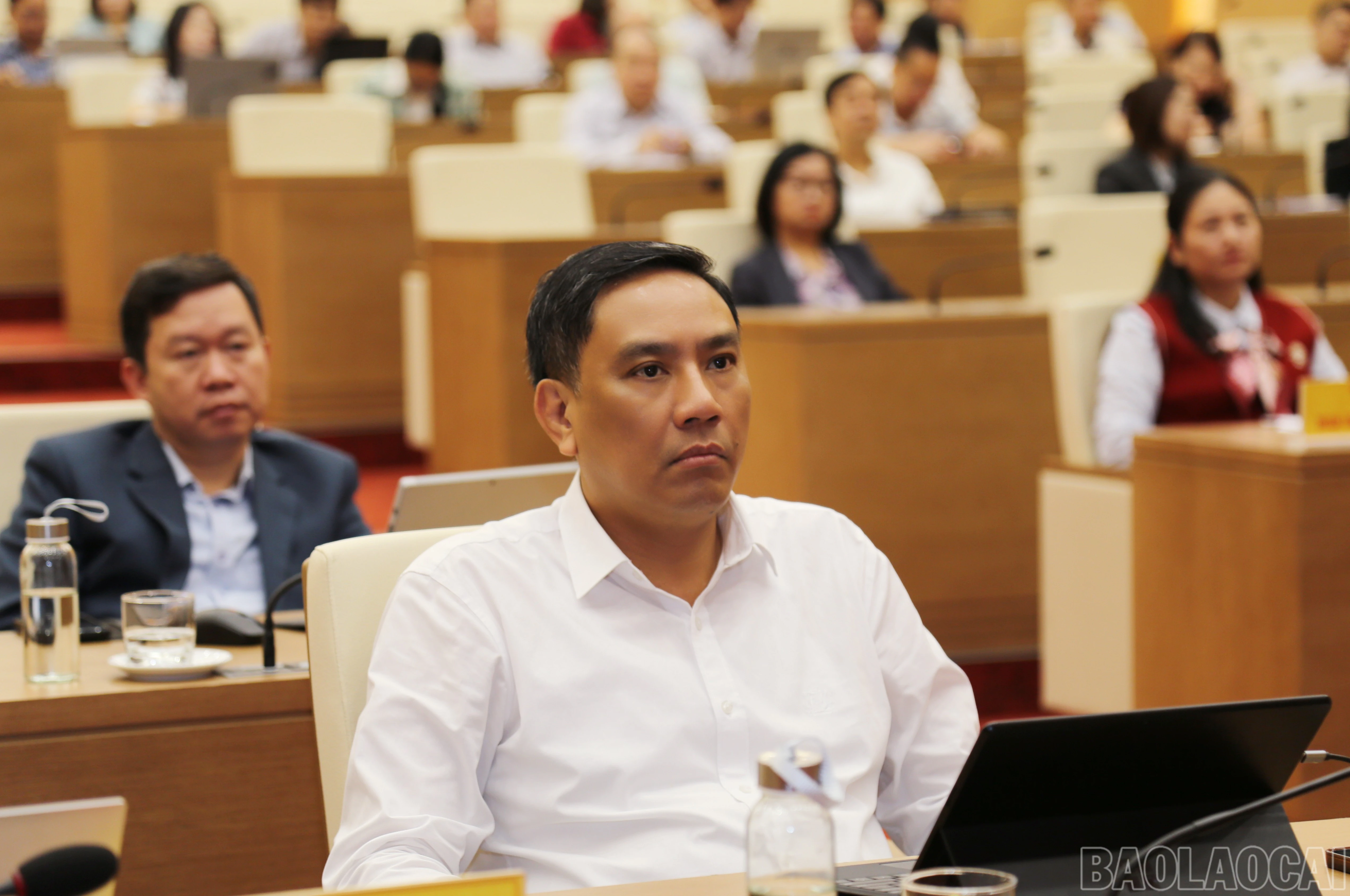 baolaocai-br_img-0391-9117.jpg