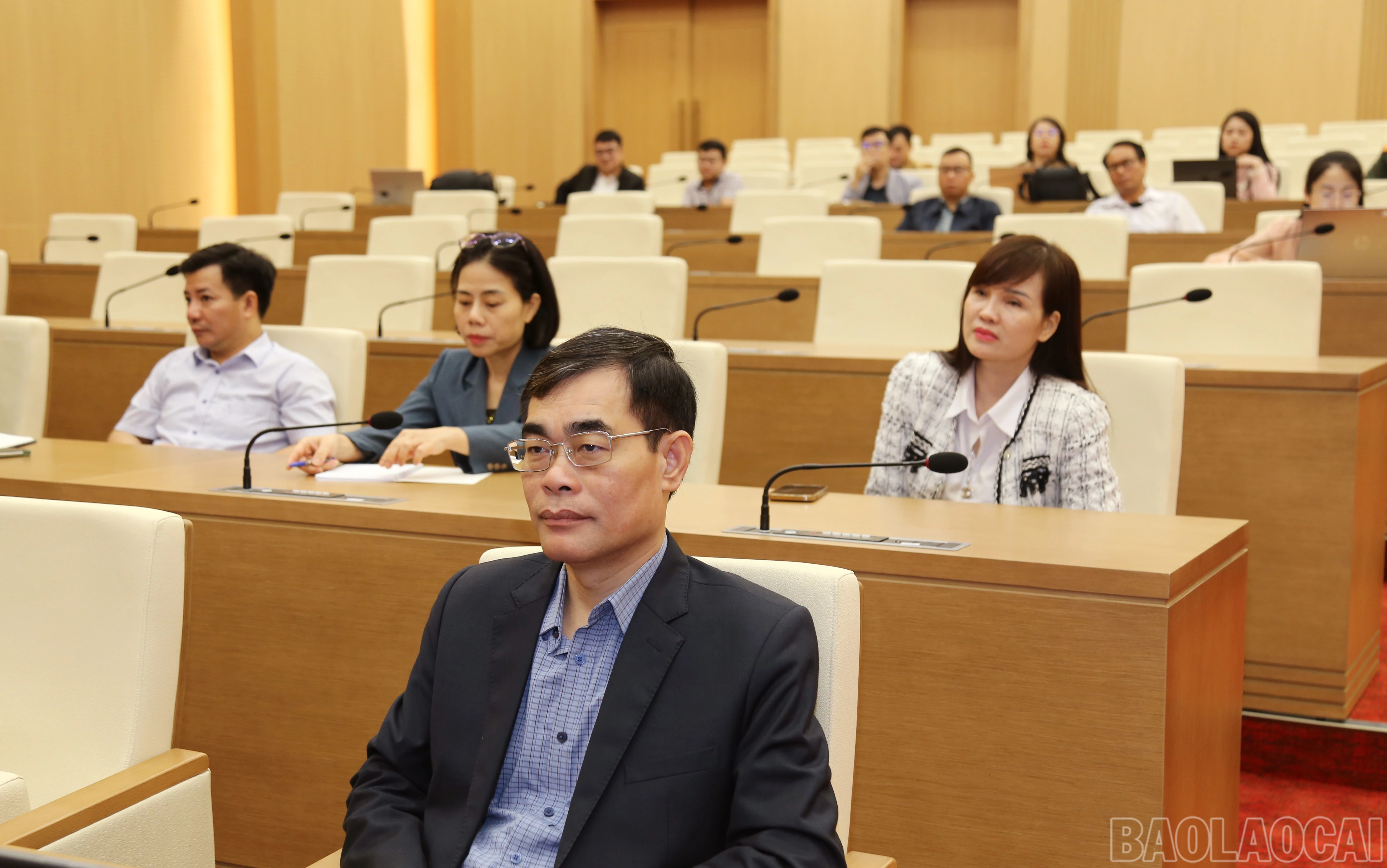 baolaocai-br_img-0410-479.jpg