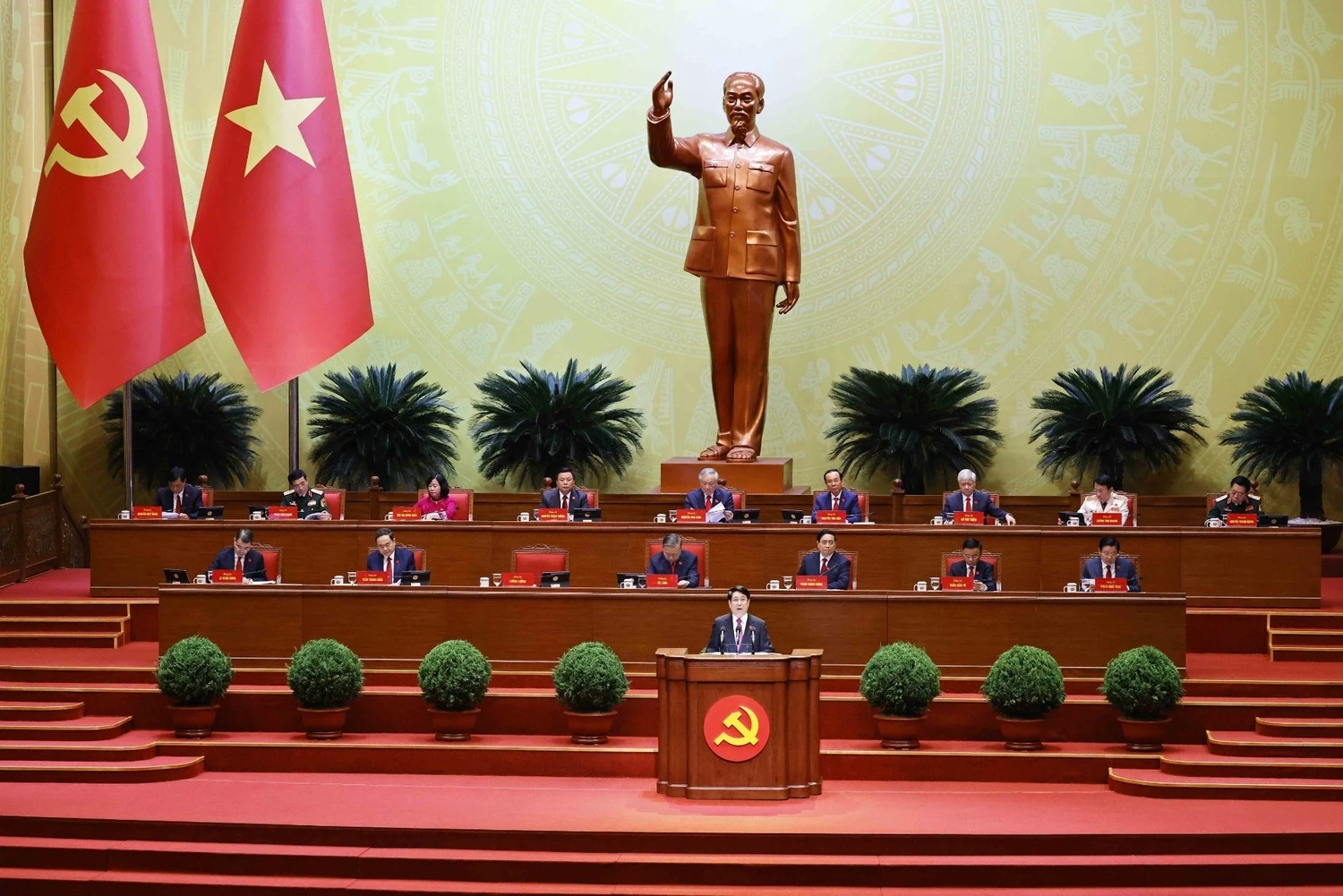 image-1.jpg