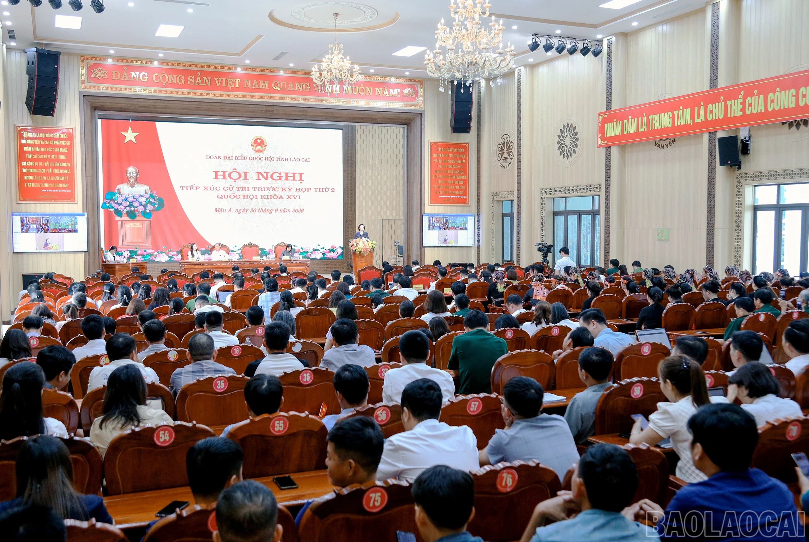 baolaocai-br_7j5a7924.jpg