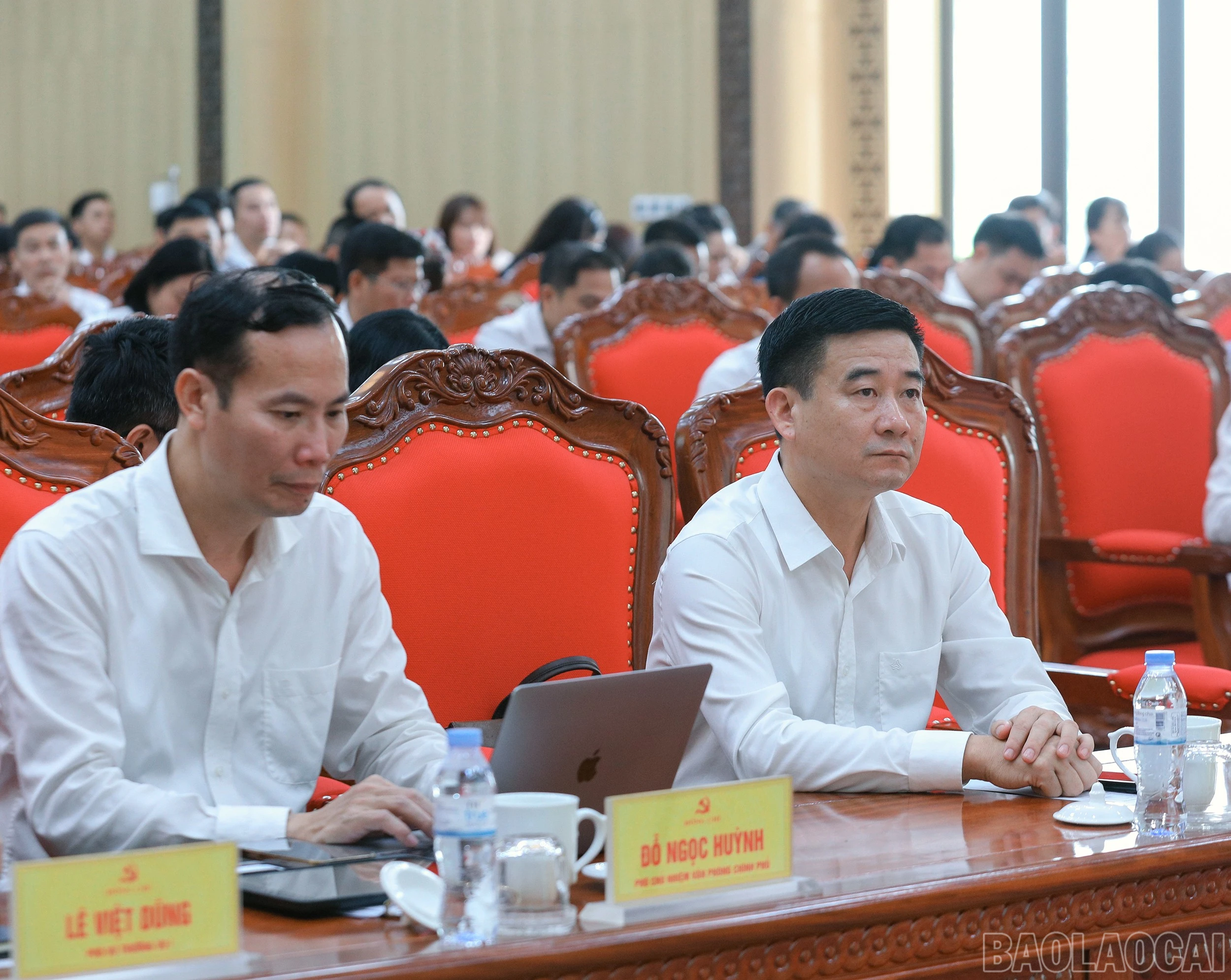 baolaocai-br_7j5a7754.jpg