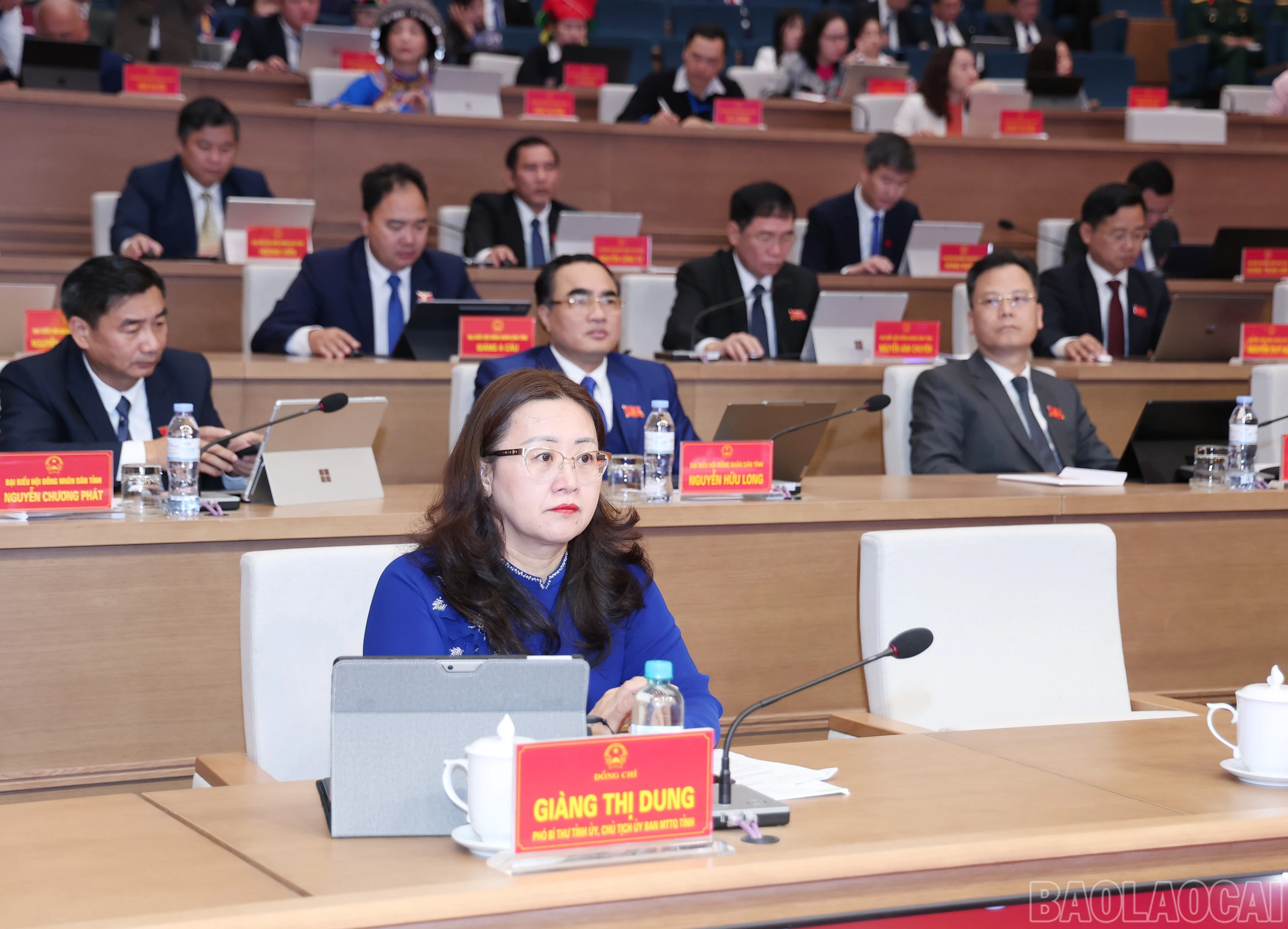 baolaocai-br_img-2484.jpg