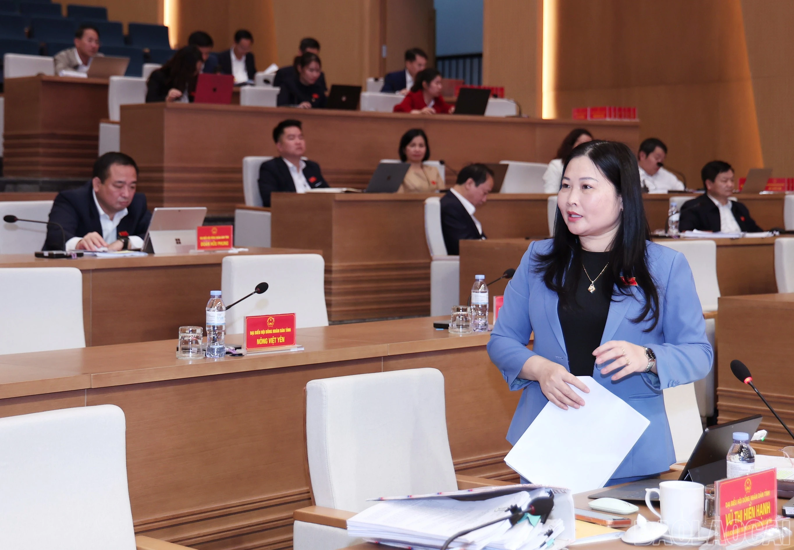 baolaocai-br_img-2868.jpg
