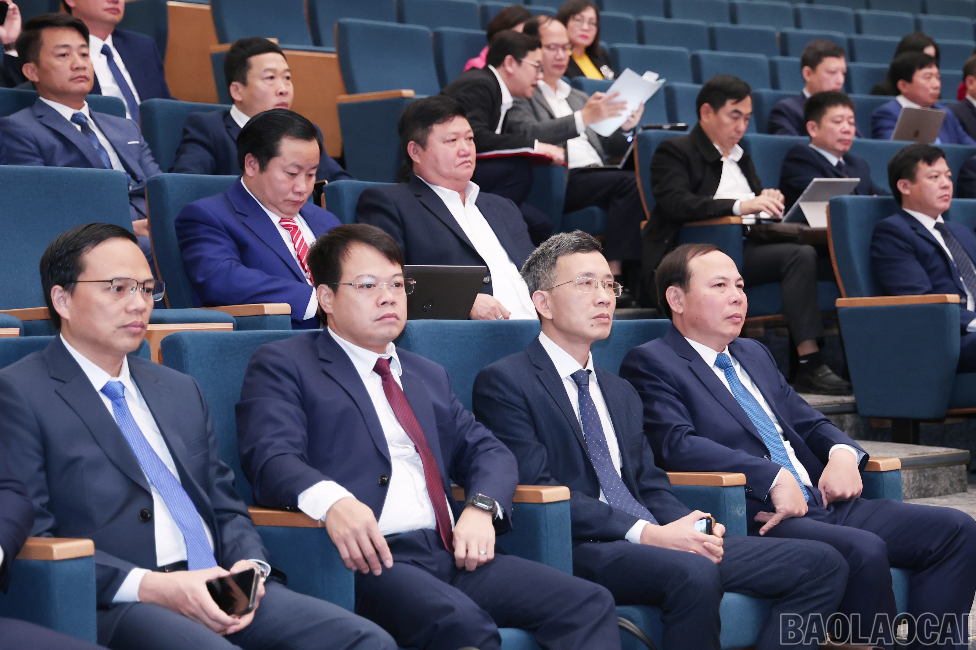 baolaocai-br_img-2515.jpg