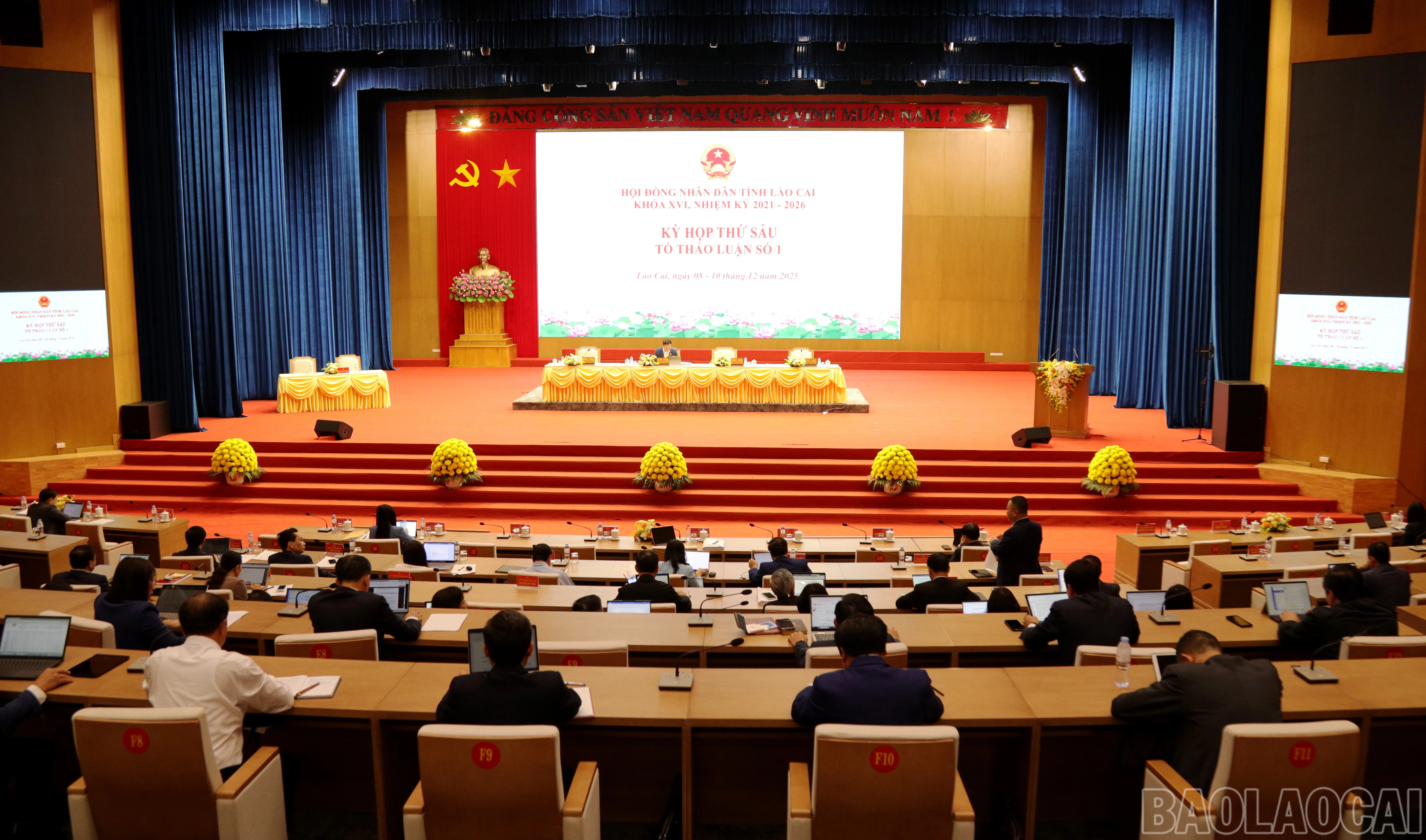 baolaocai-br_7j5a8112.jpg