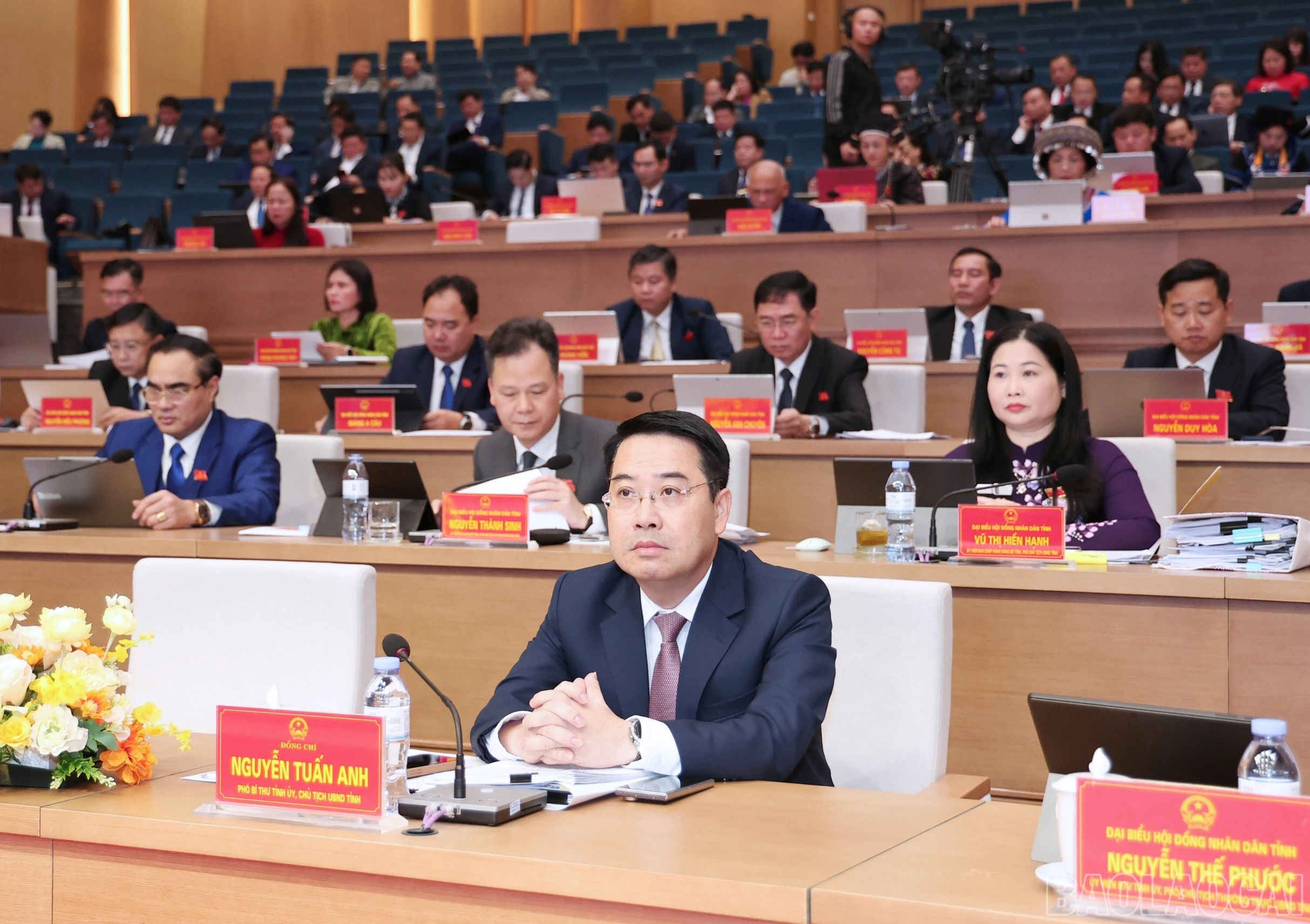 baolaocai-br_26541.jpg