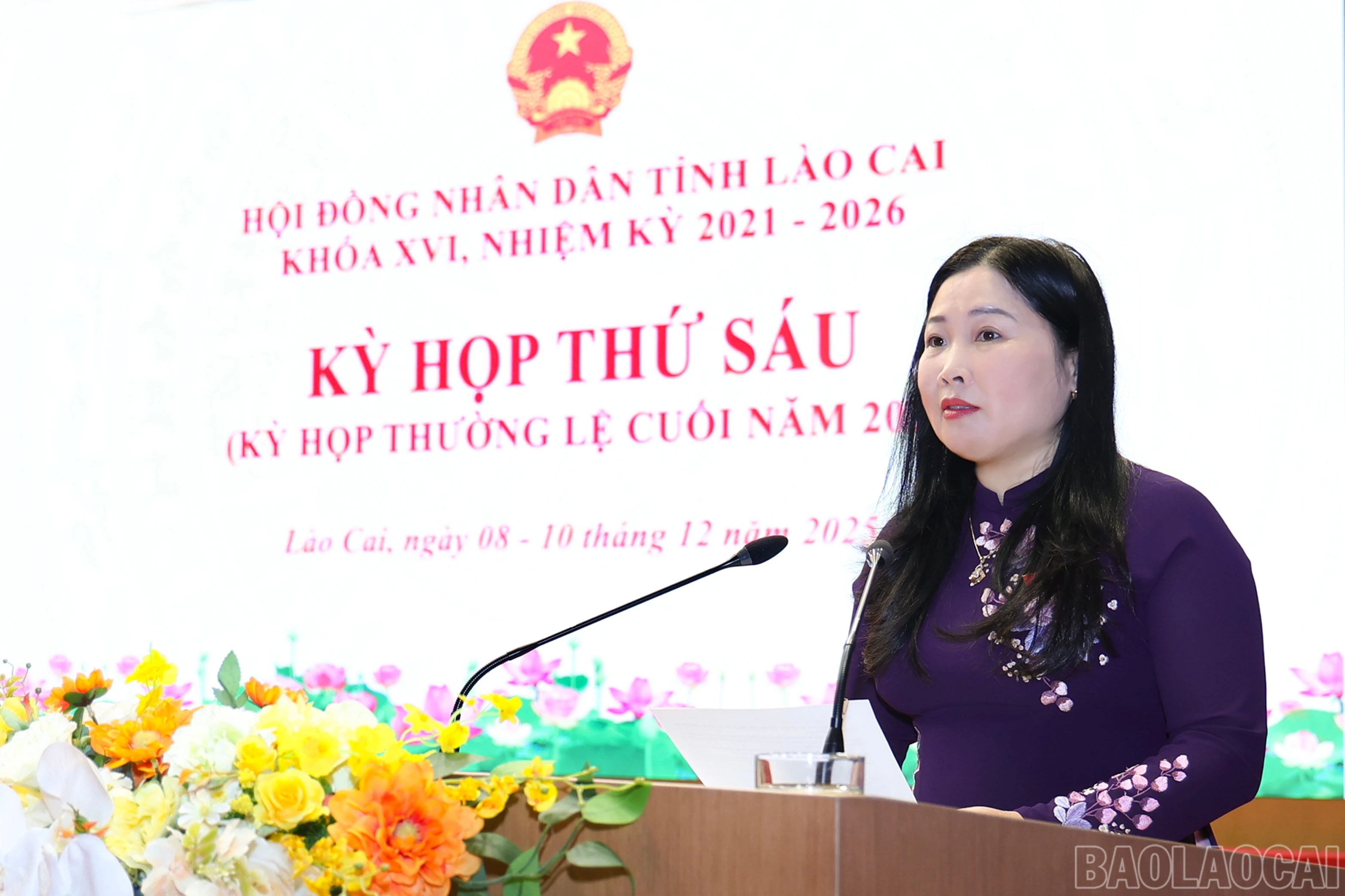 baolaocai-br_2676.jpg