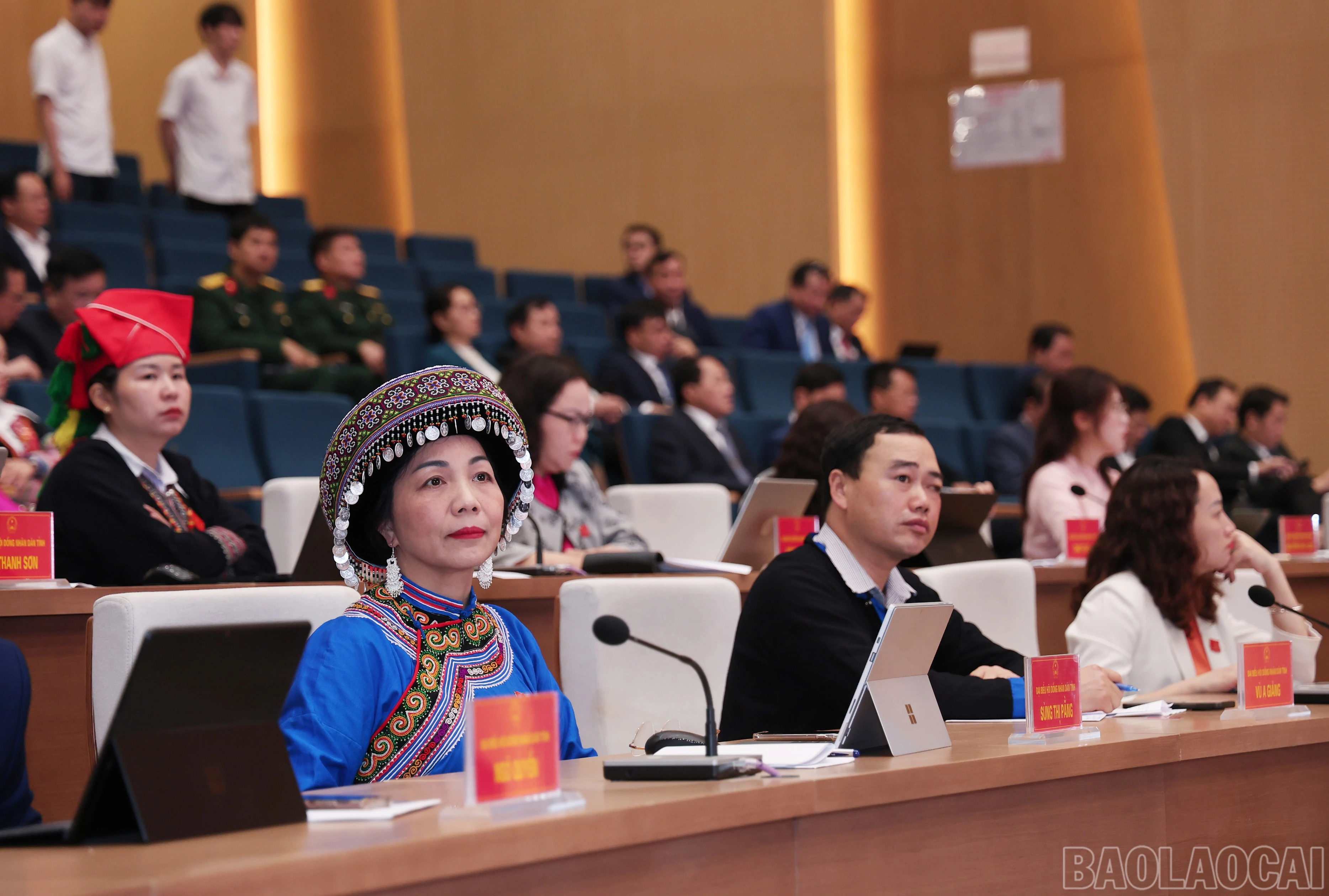 baolaocai-br_img-2503.jpg