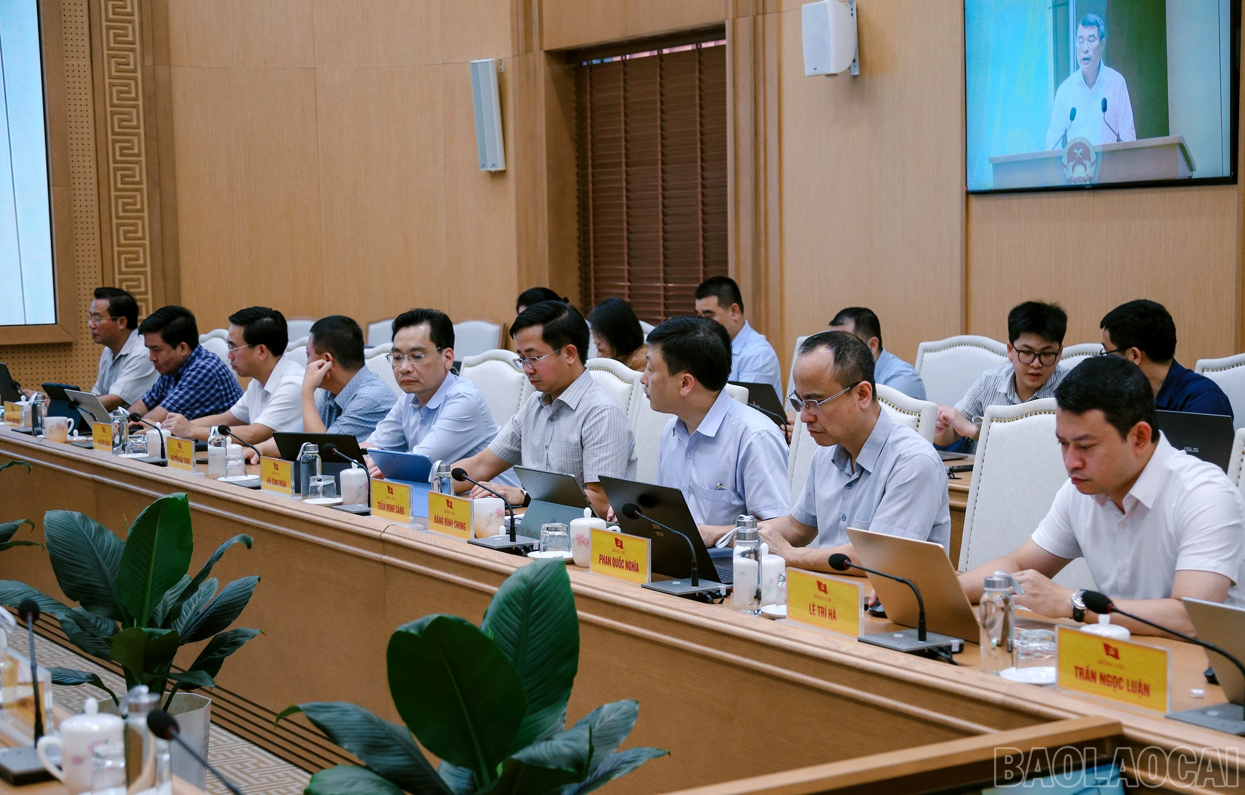 baolaocai-br_7j5a6762.jpg