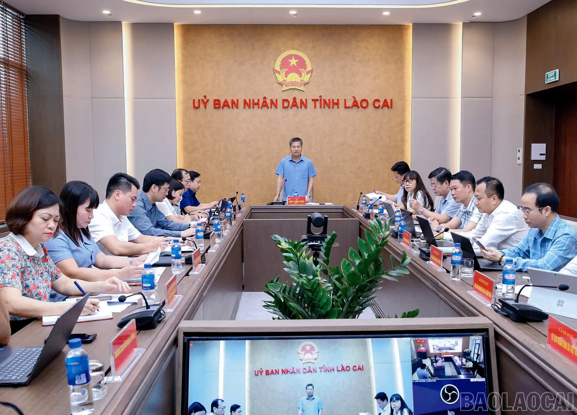 baolaocai-br_8.jpg