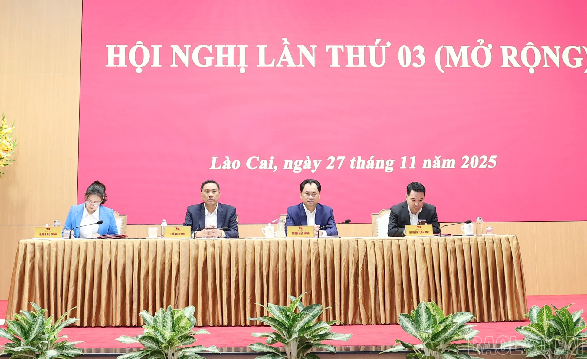 baolaocai-br_img-1170.jpg