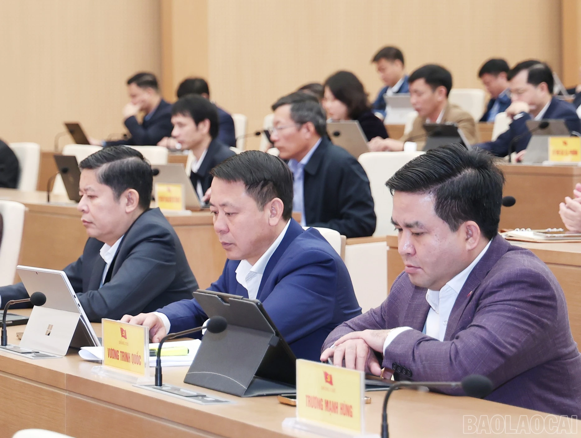 baolaocai-br_img-1356.jpg