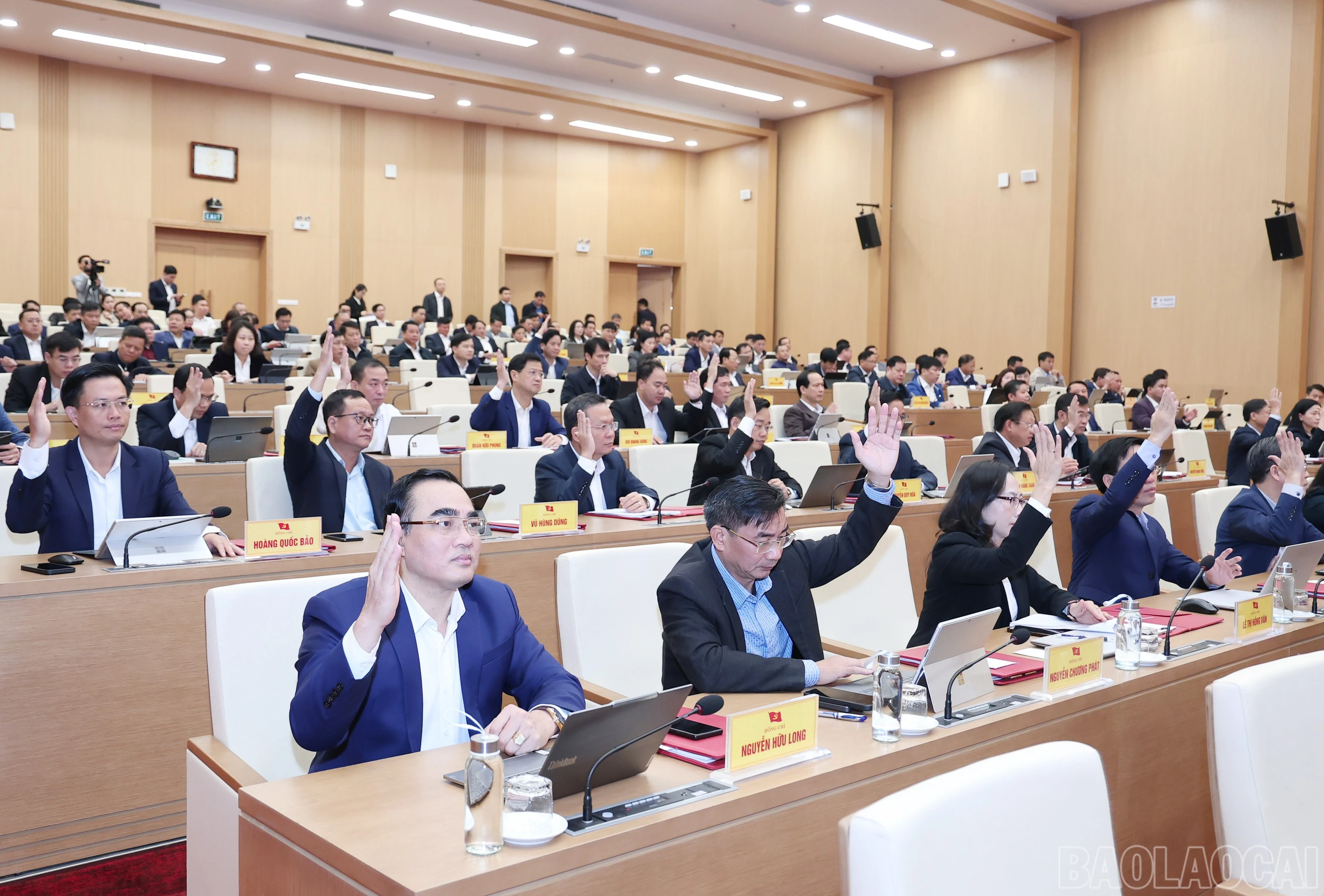 baolaocai-br_img-1199.jpg