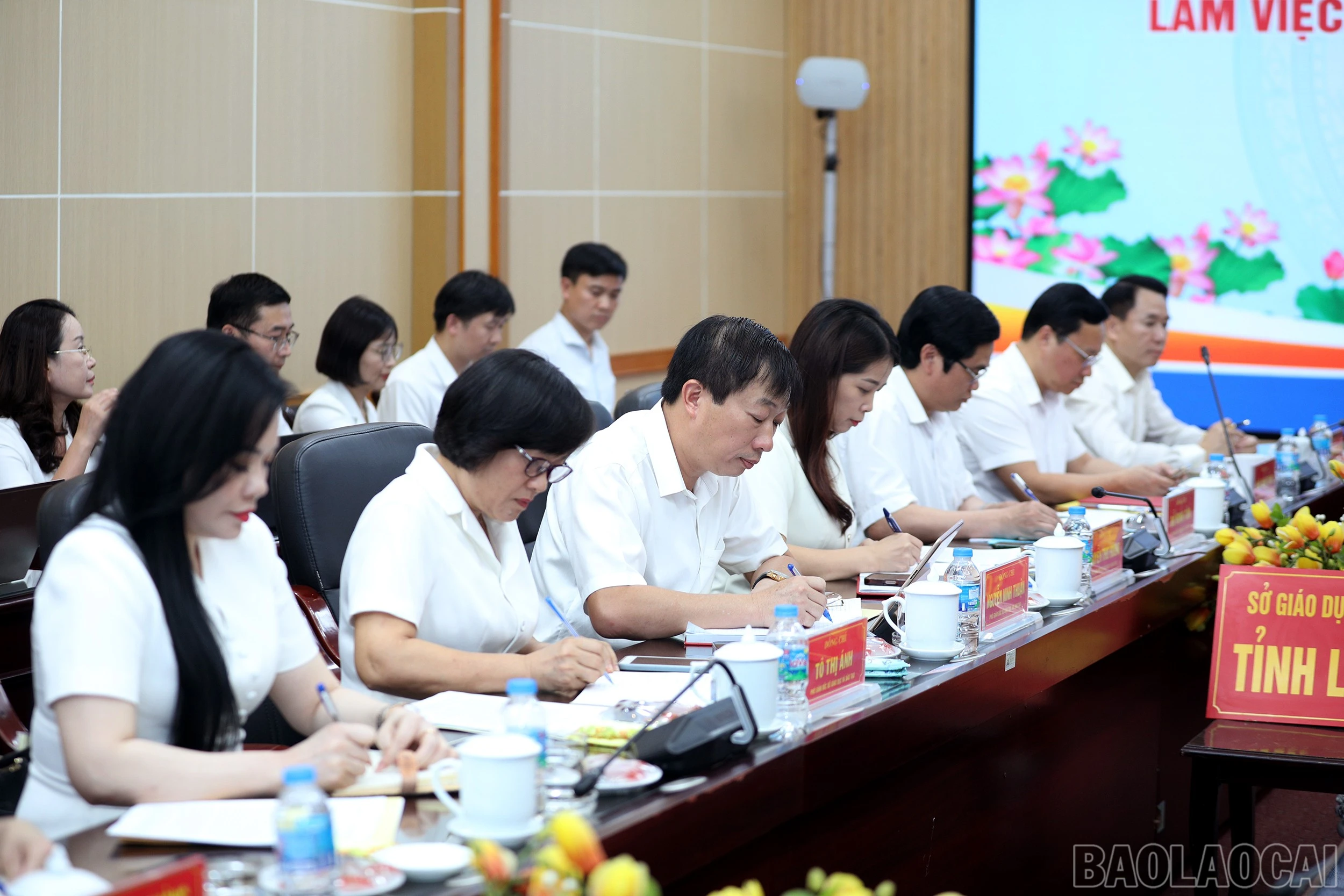 baolaocai-br_7j5a7036.jpg