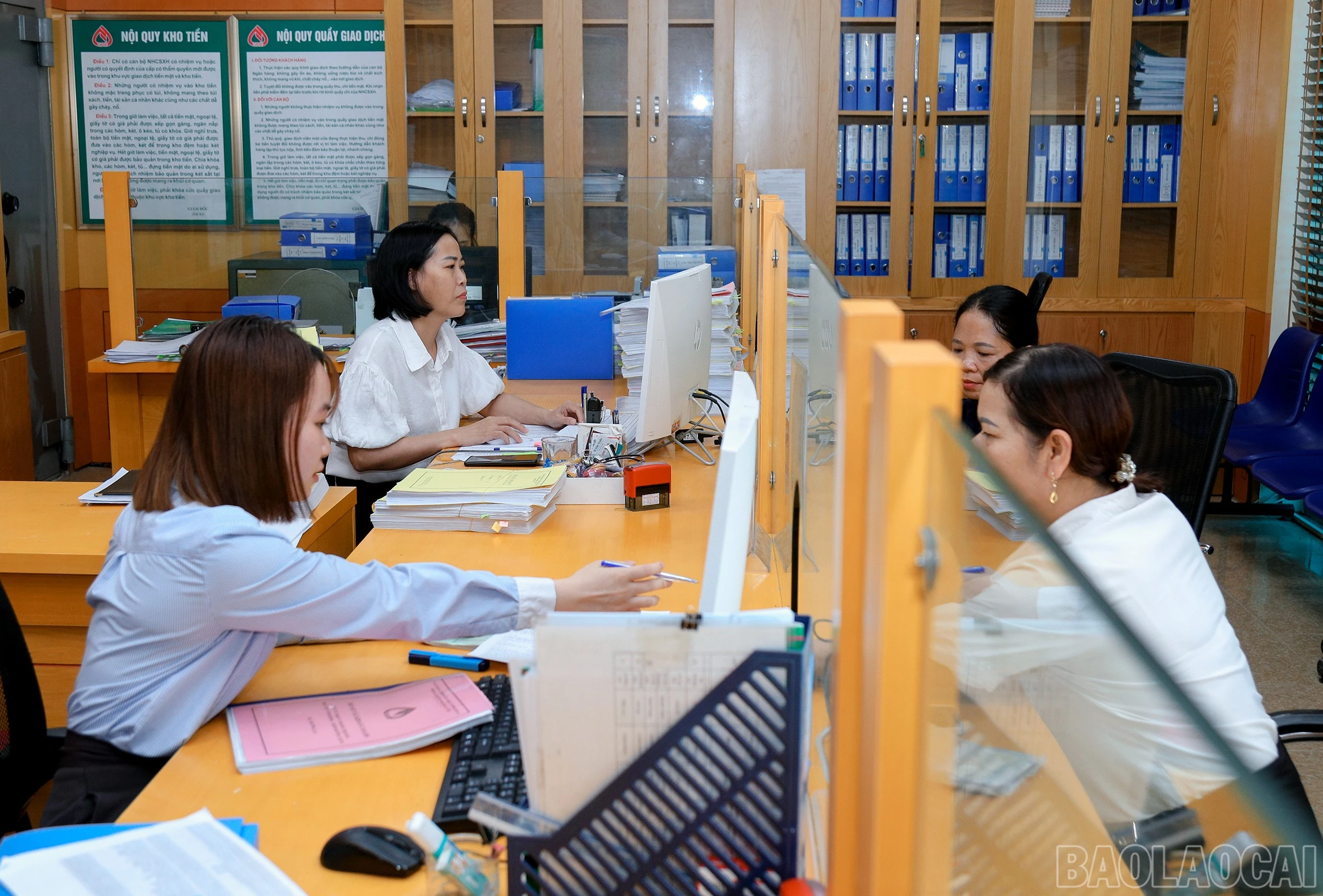baolaocai-br_7j5a3419.jpg