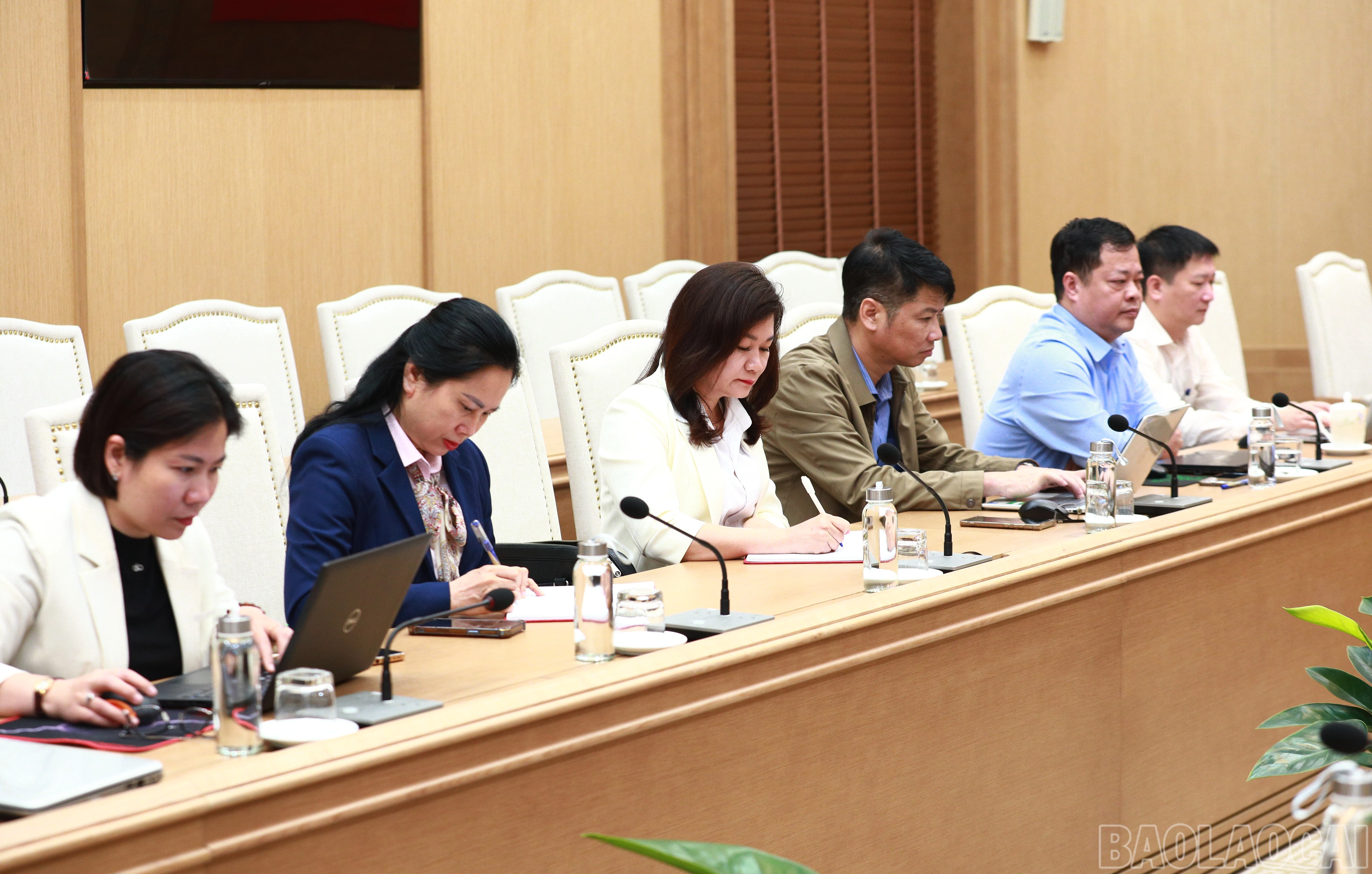 baolaocai-br_7j5a7306.jpg