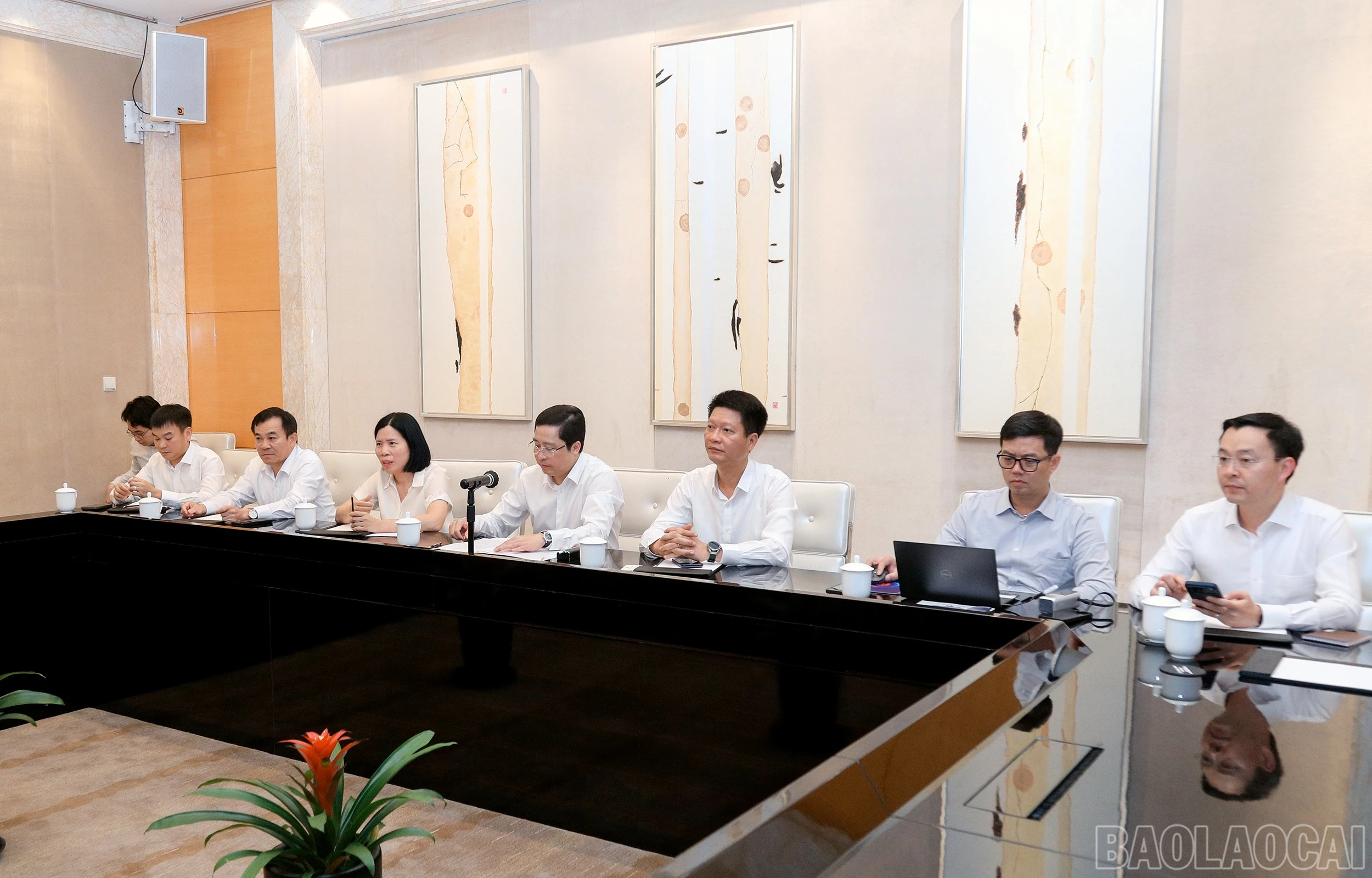 baolaocai-br_7j5a2149.jpg
