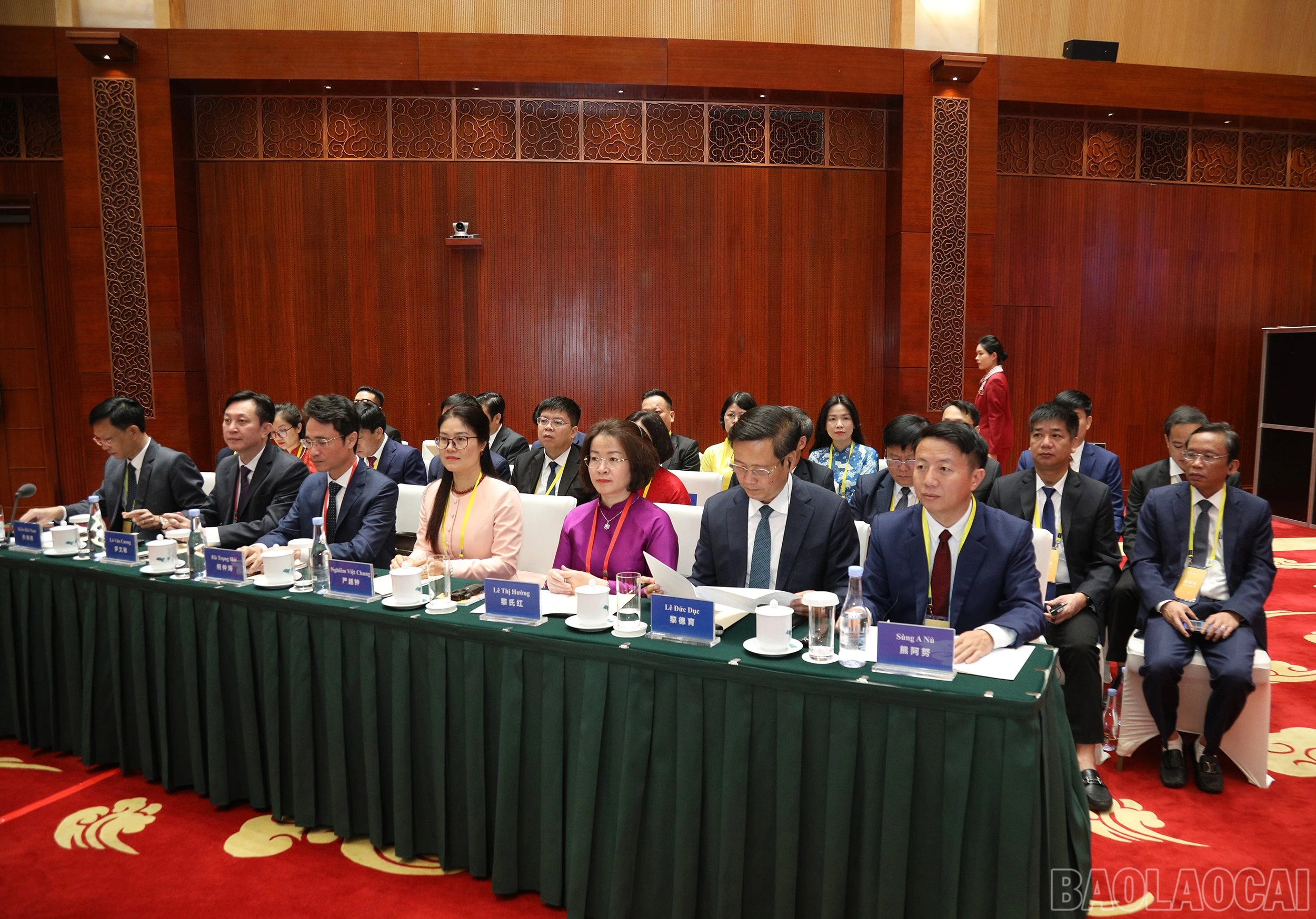 baolaocai-br_7j5a1448.jpg