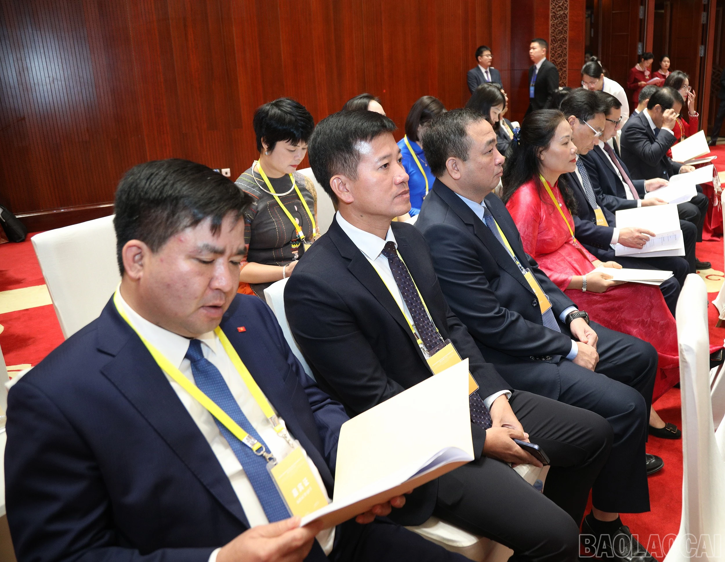 baolaocai-br_7j5a1445.jpg