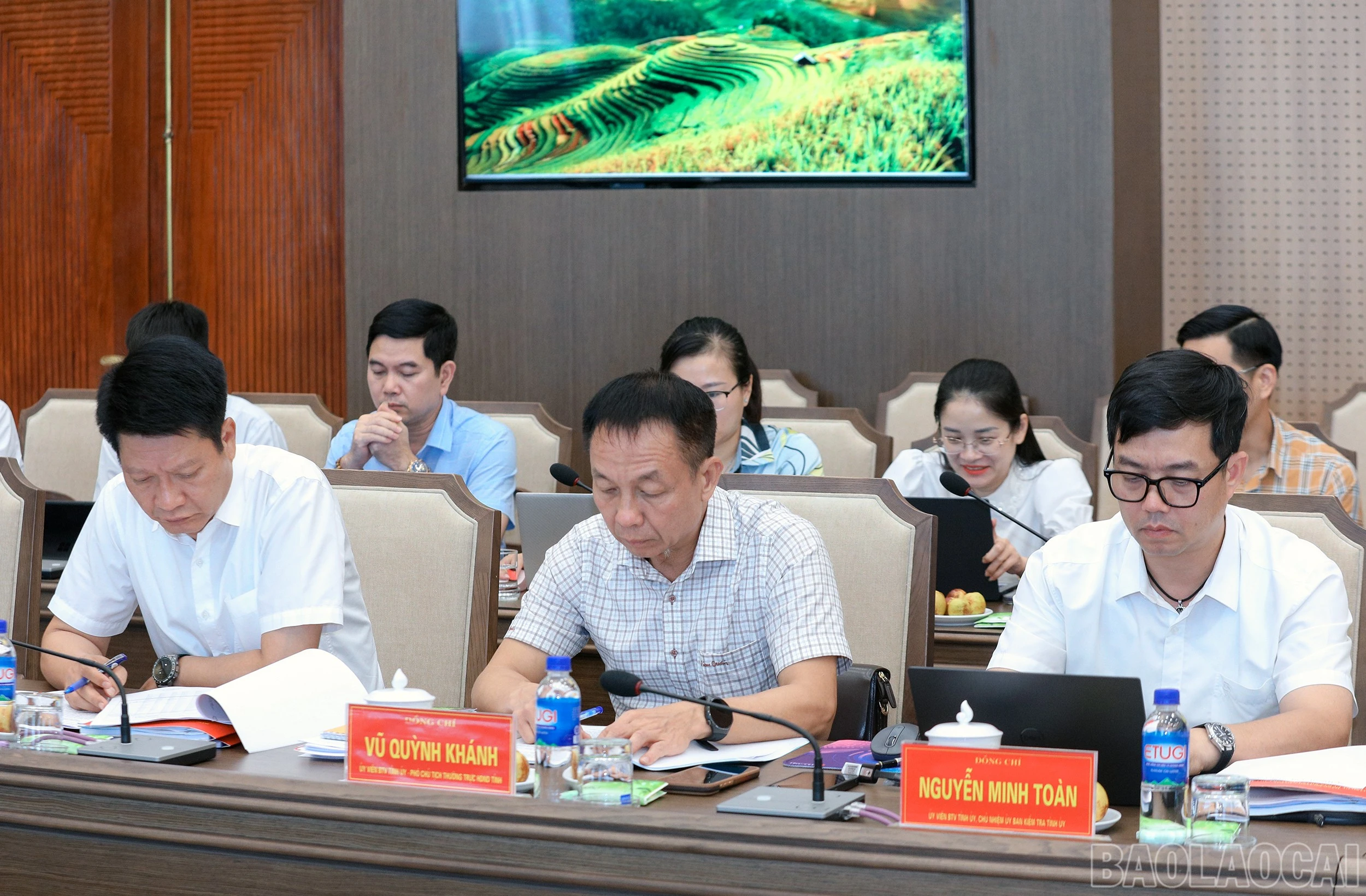 baolaocai-br_7j5a3556.jpg