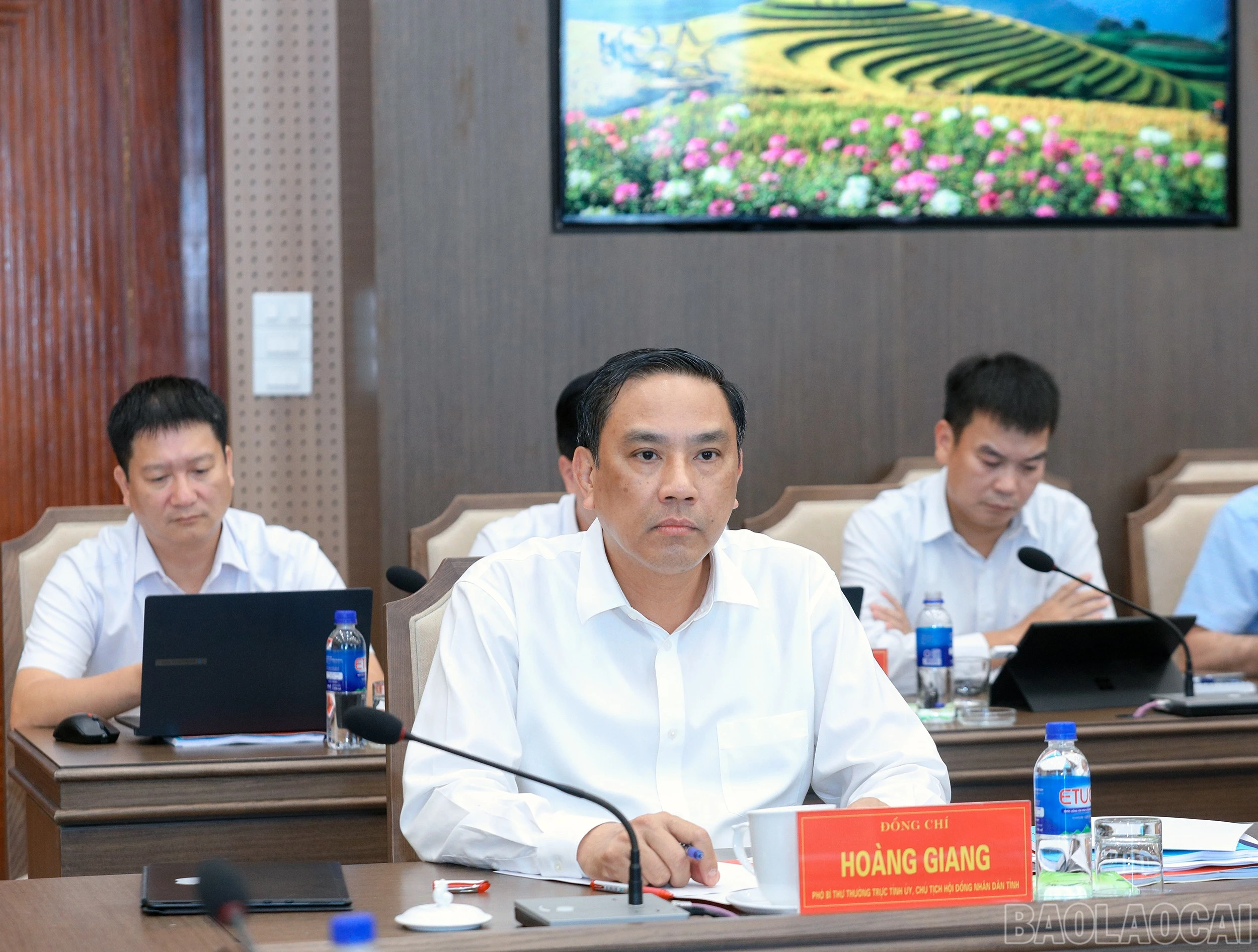 baolaocai-br_7j5a3513.jpg