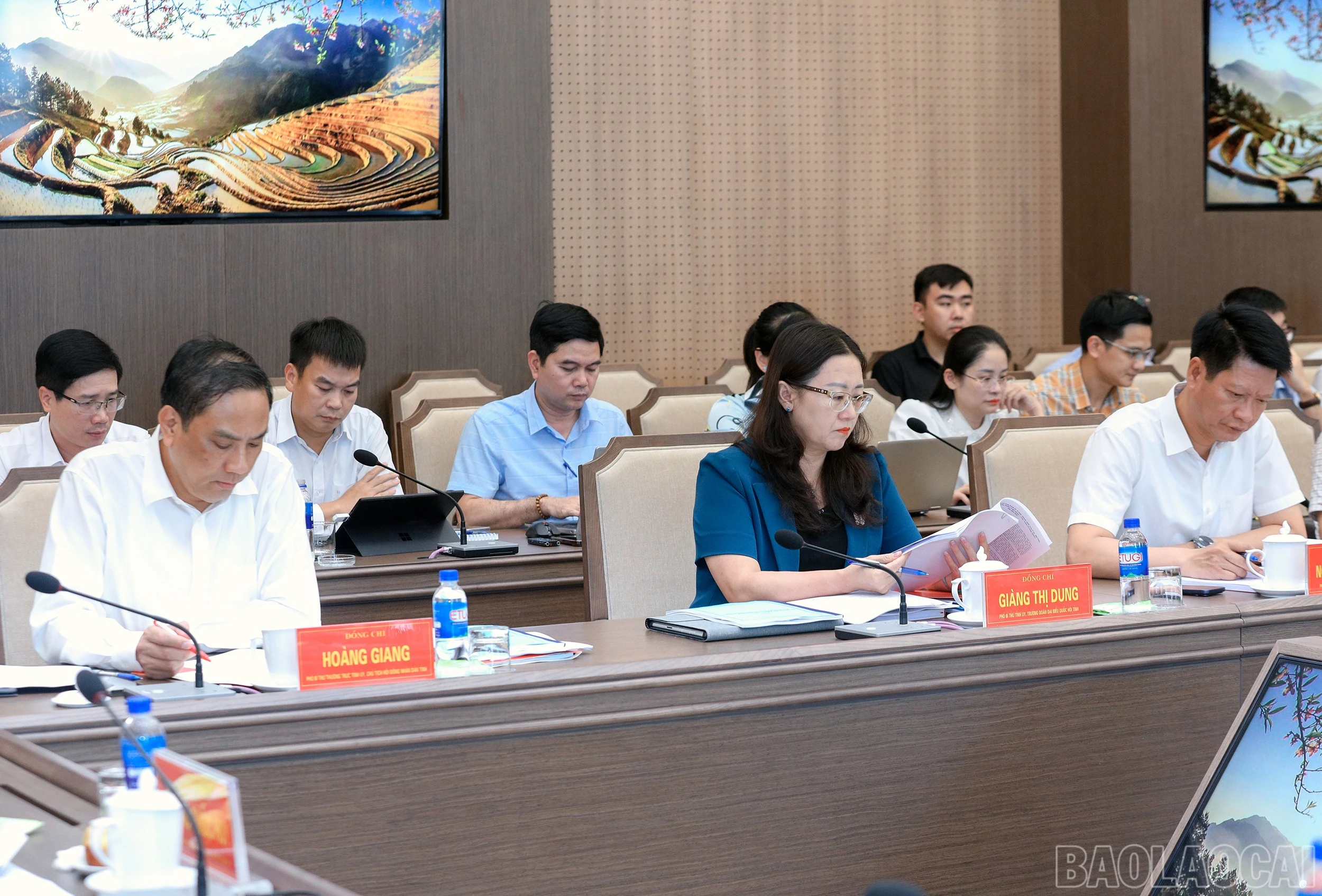 baolaocai-br_7j5a3511.jpg