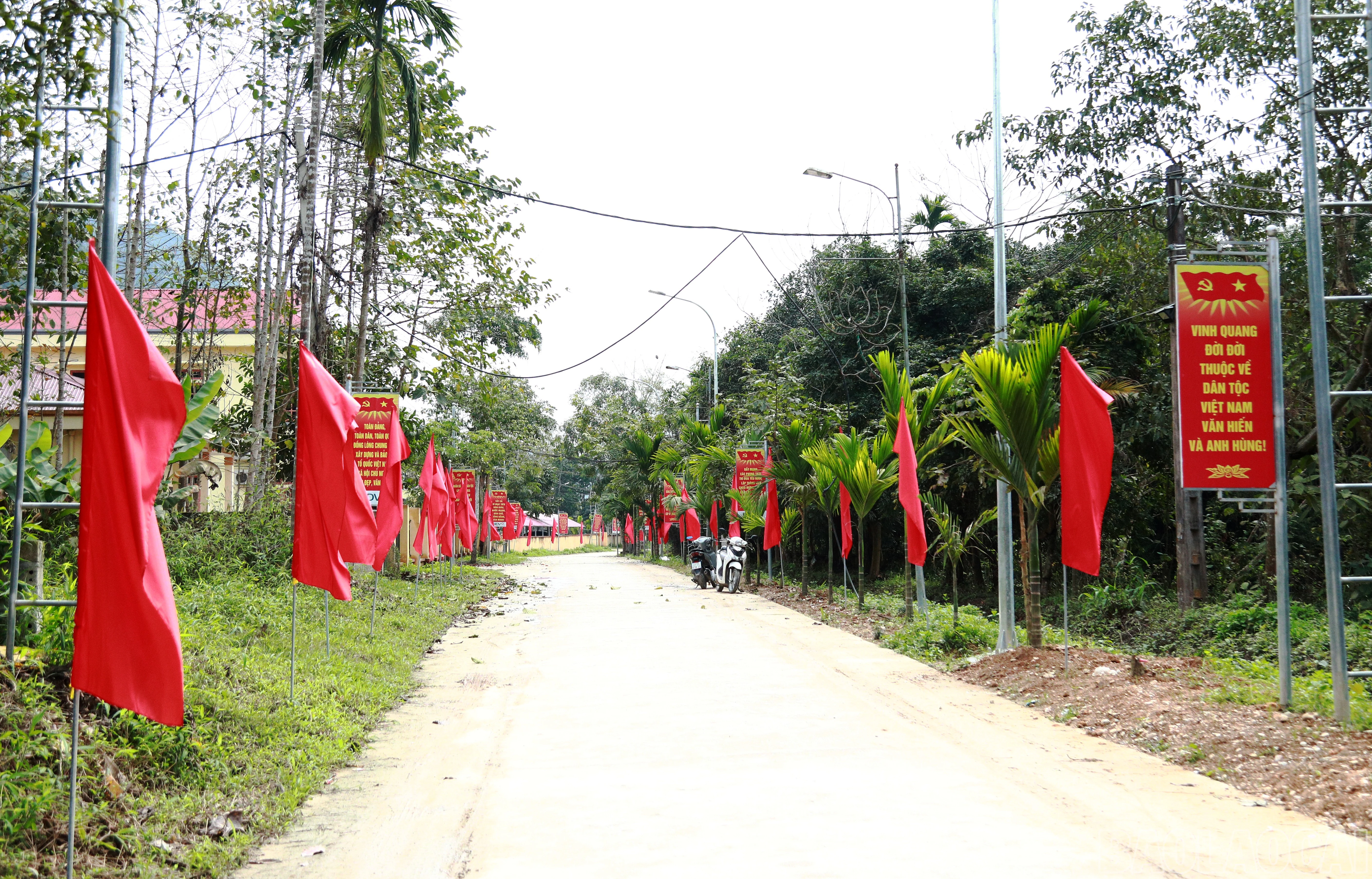 baolaocai-br_7j5a6024.jpg