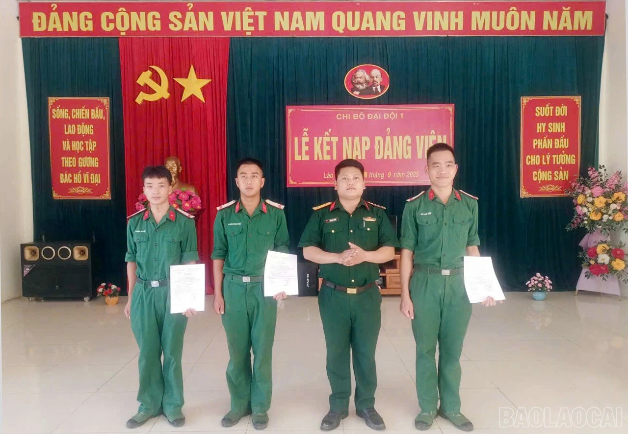 baolaocai-br_gen-h-z7258161419466-36b2f1bb22ef116fbf10b8d242fca92c.jpg