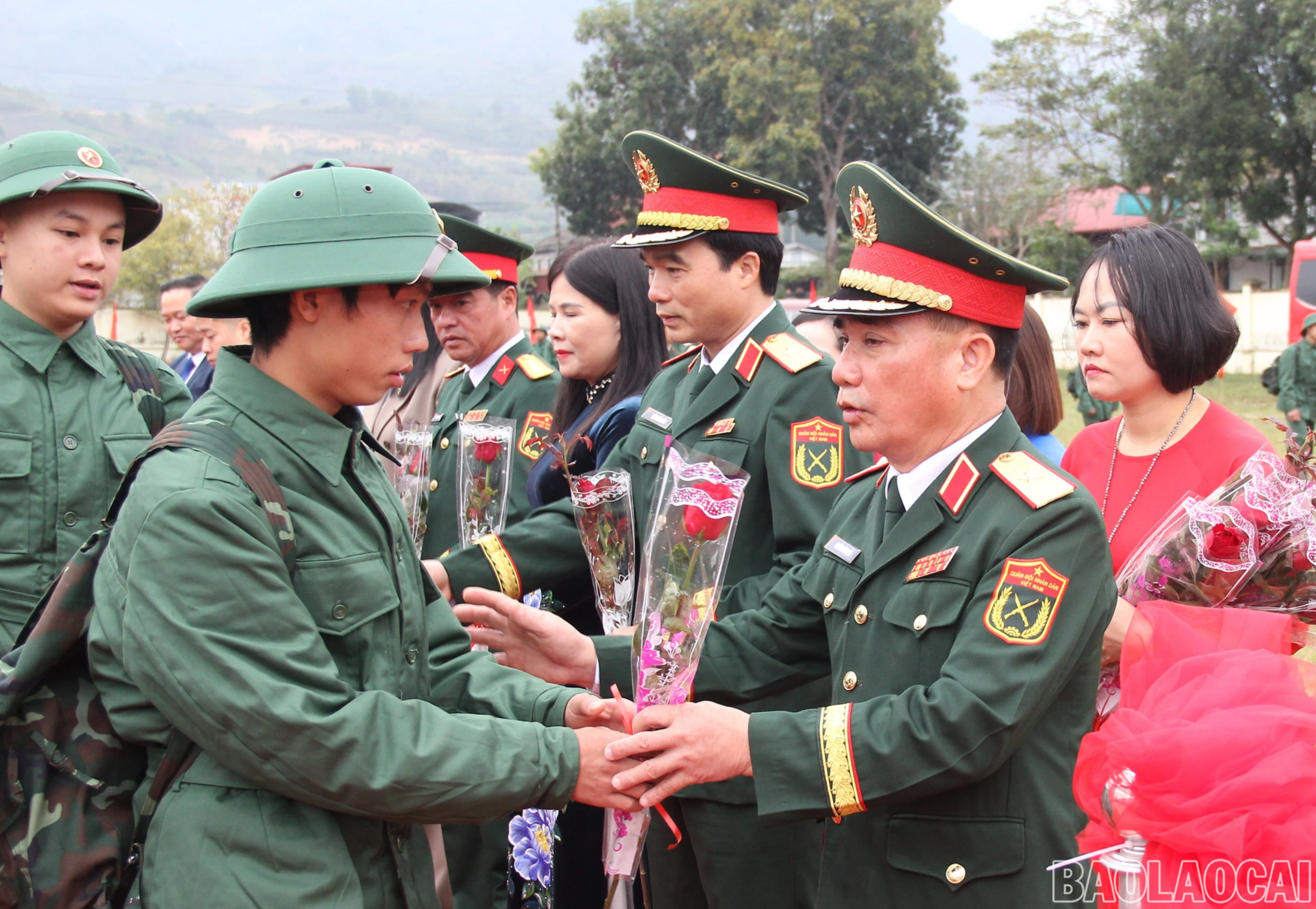 baolaocai-br_img-9302-4919.jpg
