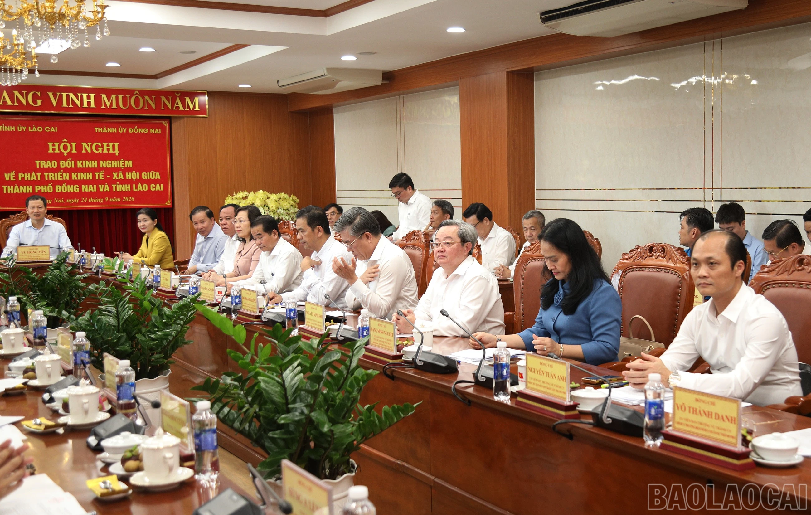 baolaocai-br_7j5a7313.jpg