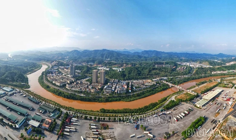 baolaocai-5-6485.jpg