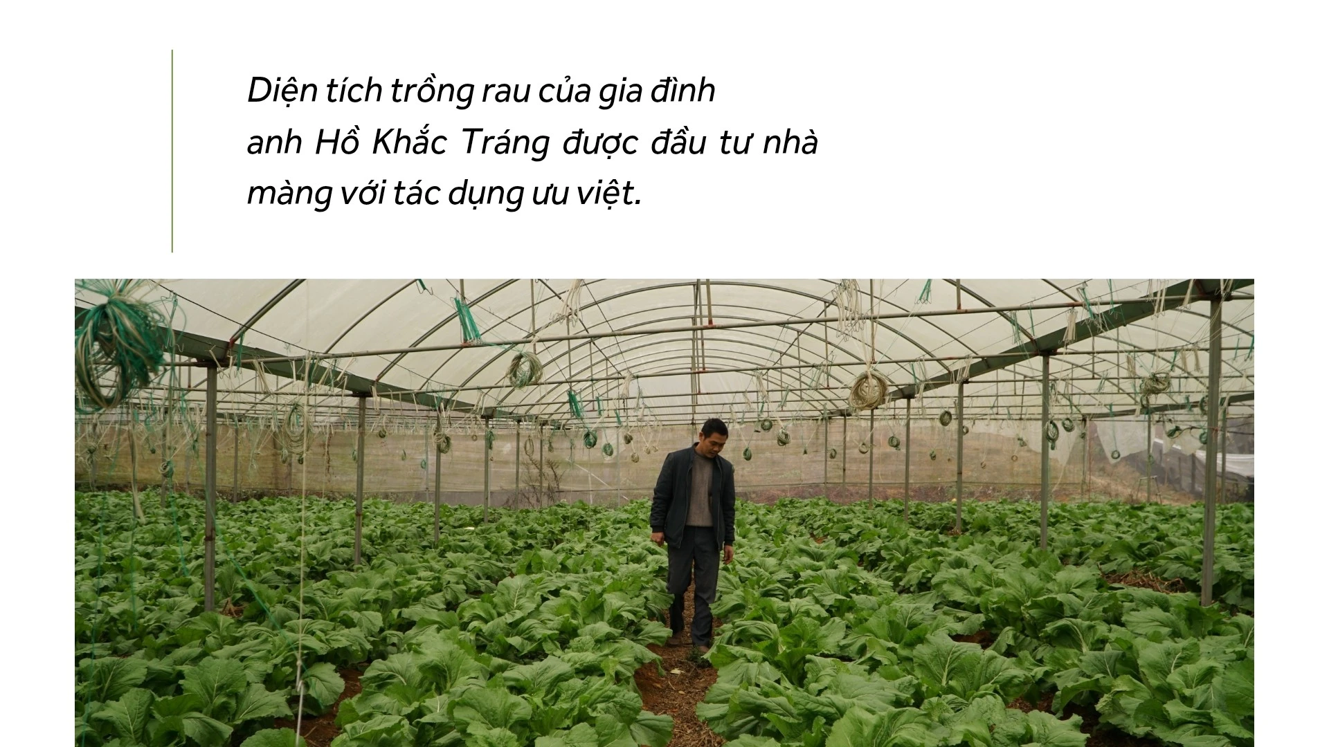 tien-phong-20260130-223715-0003.jpg