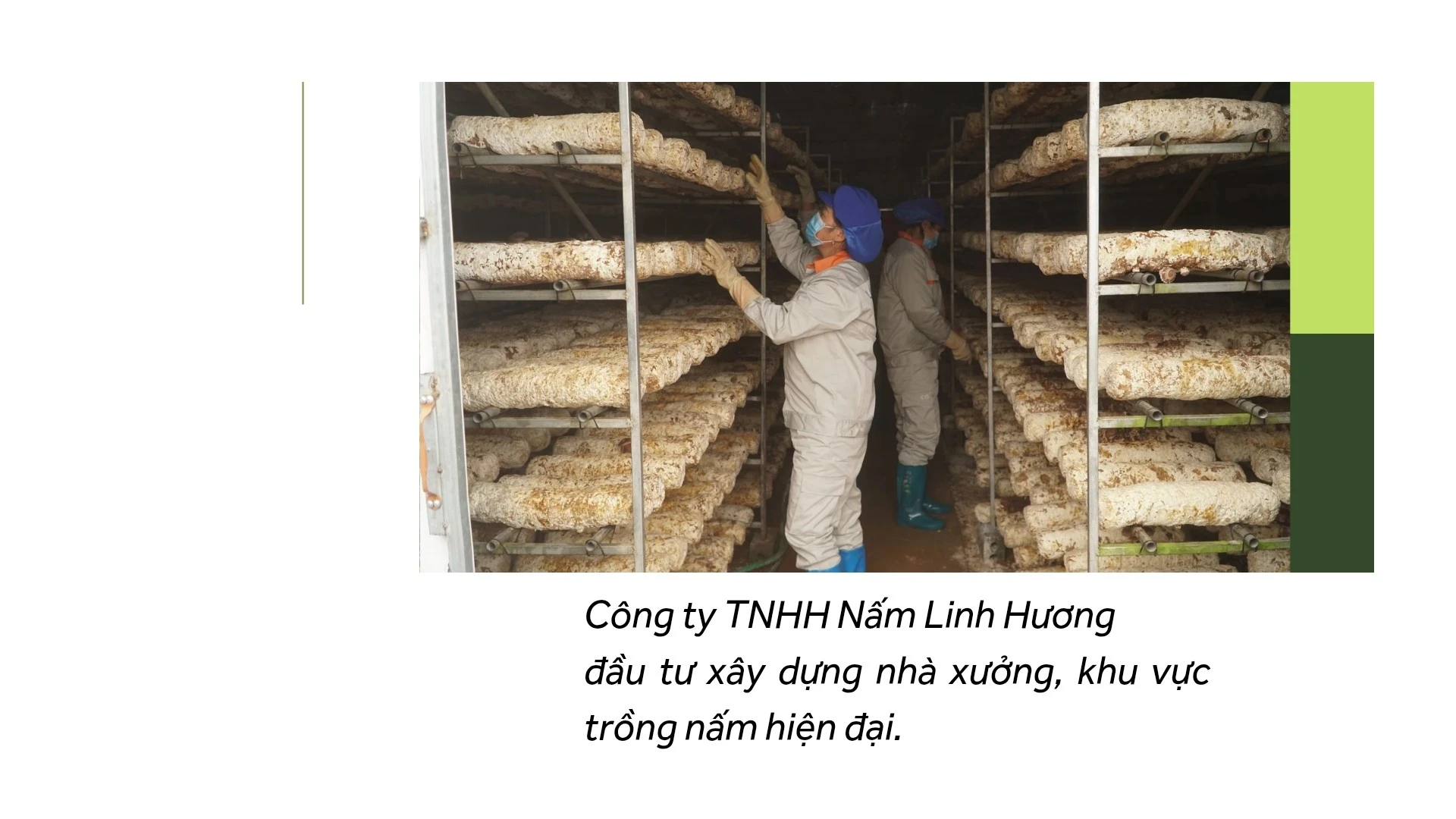 tien-phong-20260130-223715-0002.jpg