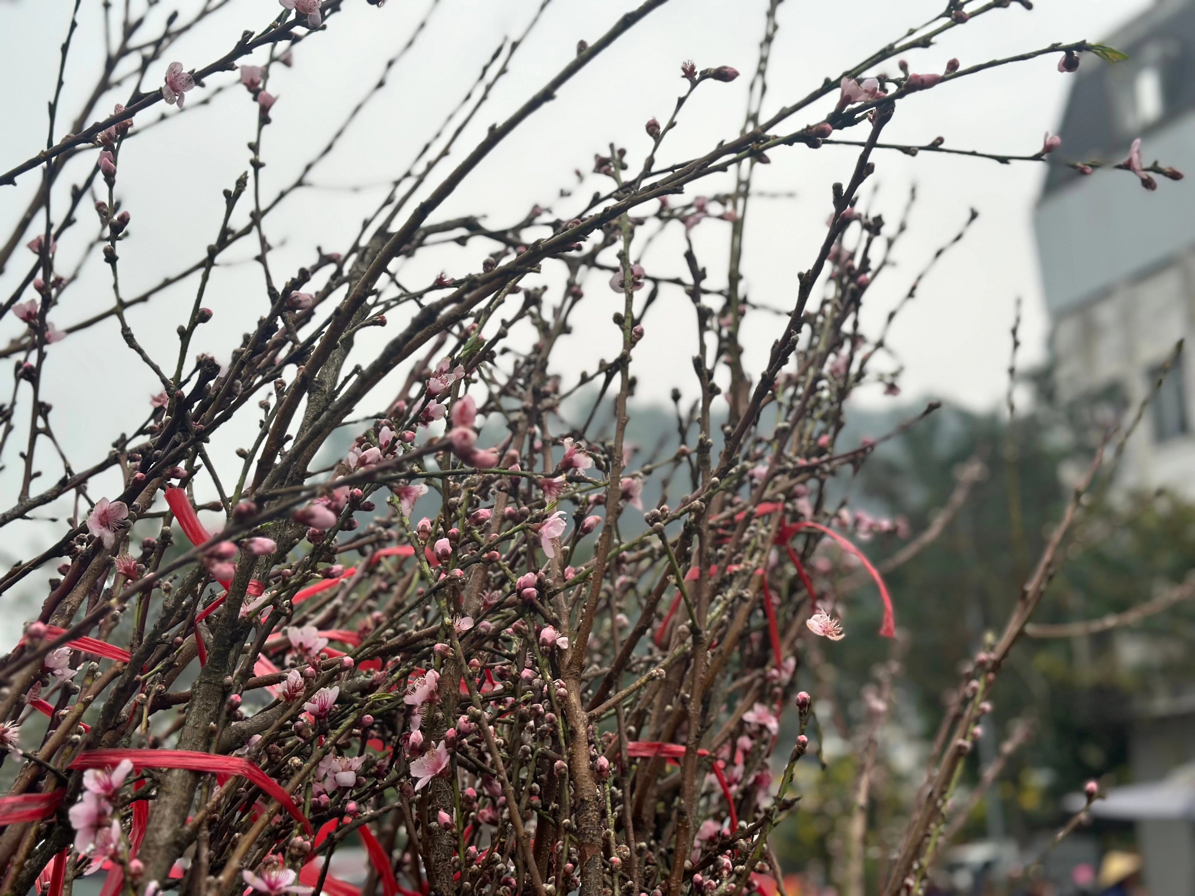 img-7036.jpg