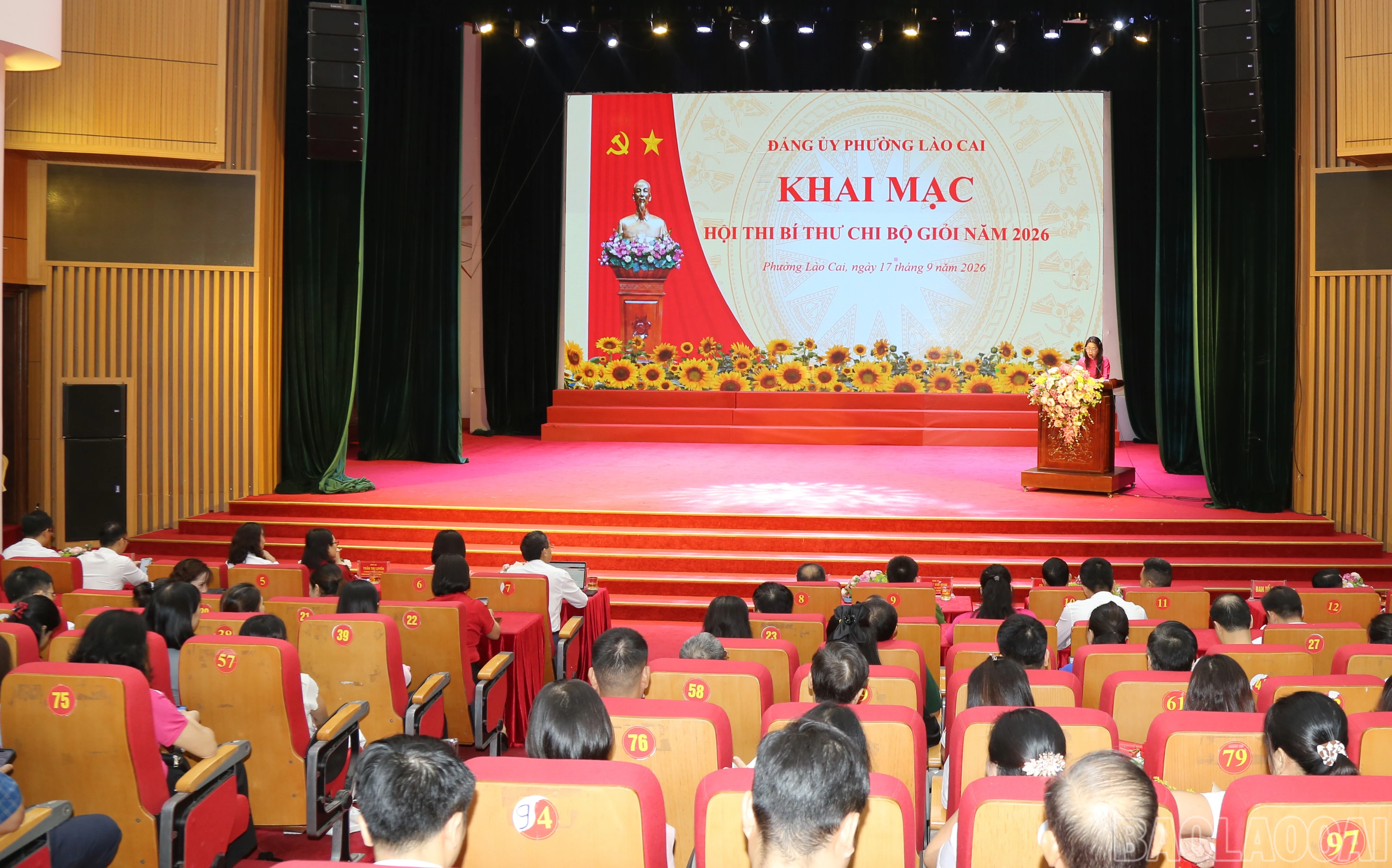 baolaocai-br_img-2485.jpg