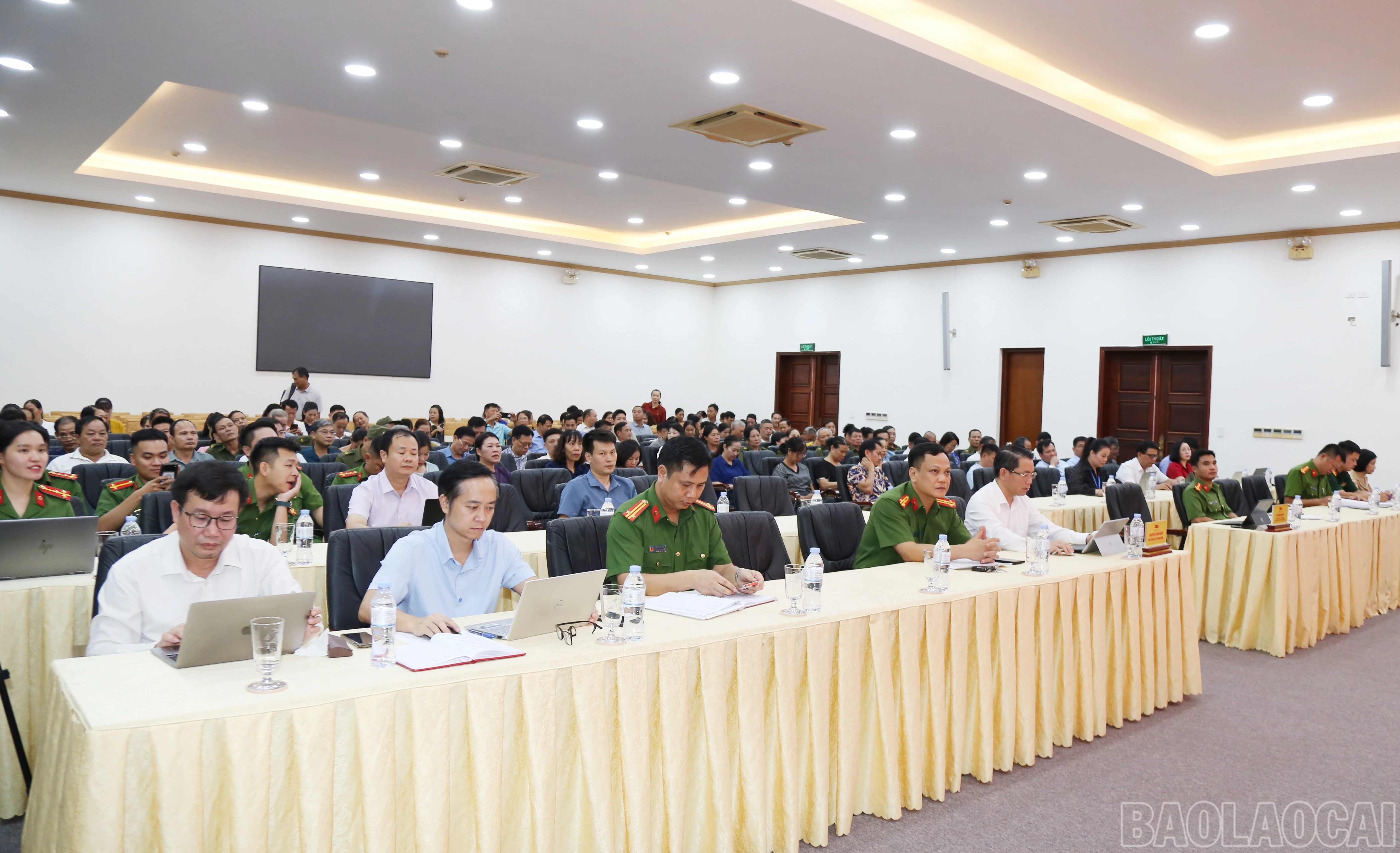baolaocai-br_img-2285.jpg