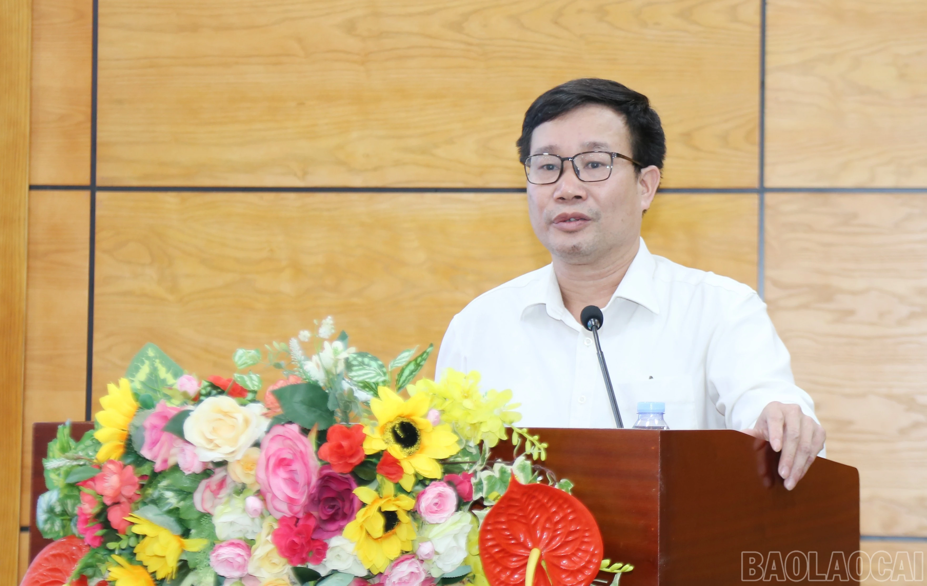 baolaocai-br_img-2296.jpg