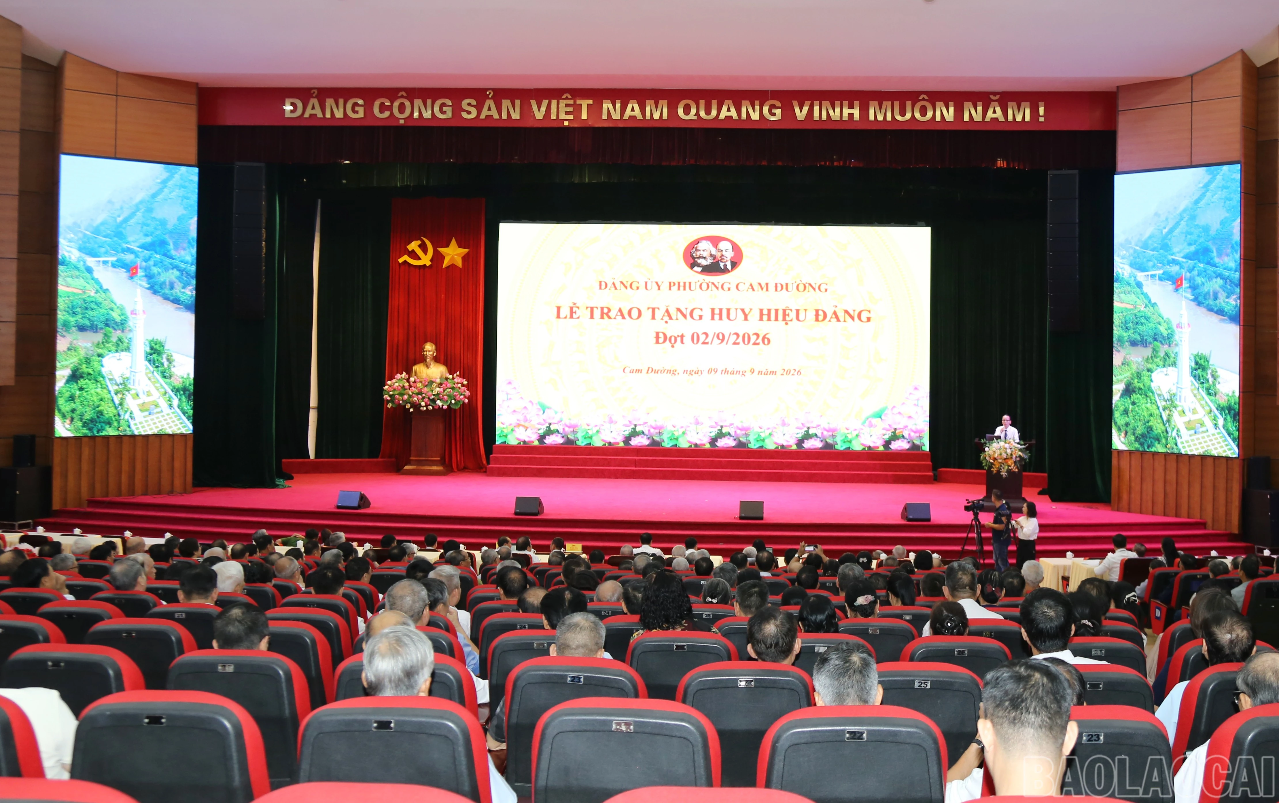 baolaocai-br_1.jpg