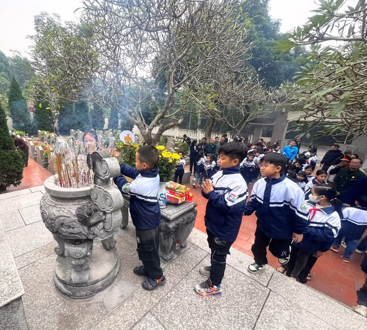 baolaocai-br_dc12498b-a039-4291-b354-8d3c1ef9b7b8.jpg